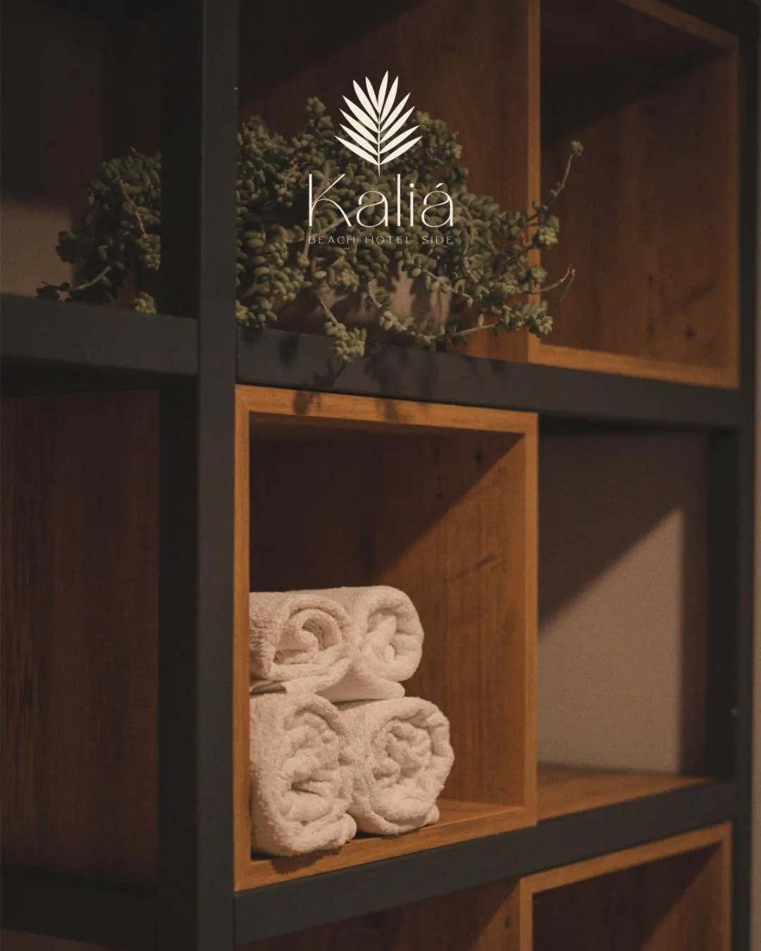 towels in Kalia Beach Hotel Side Ex Kale Motel