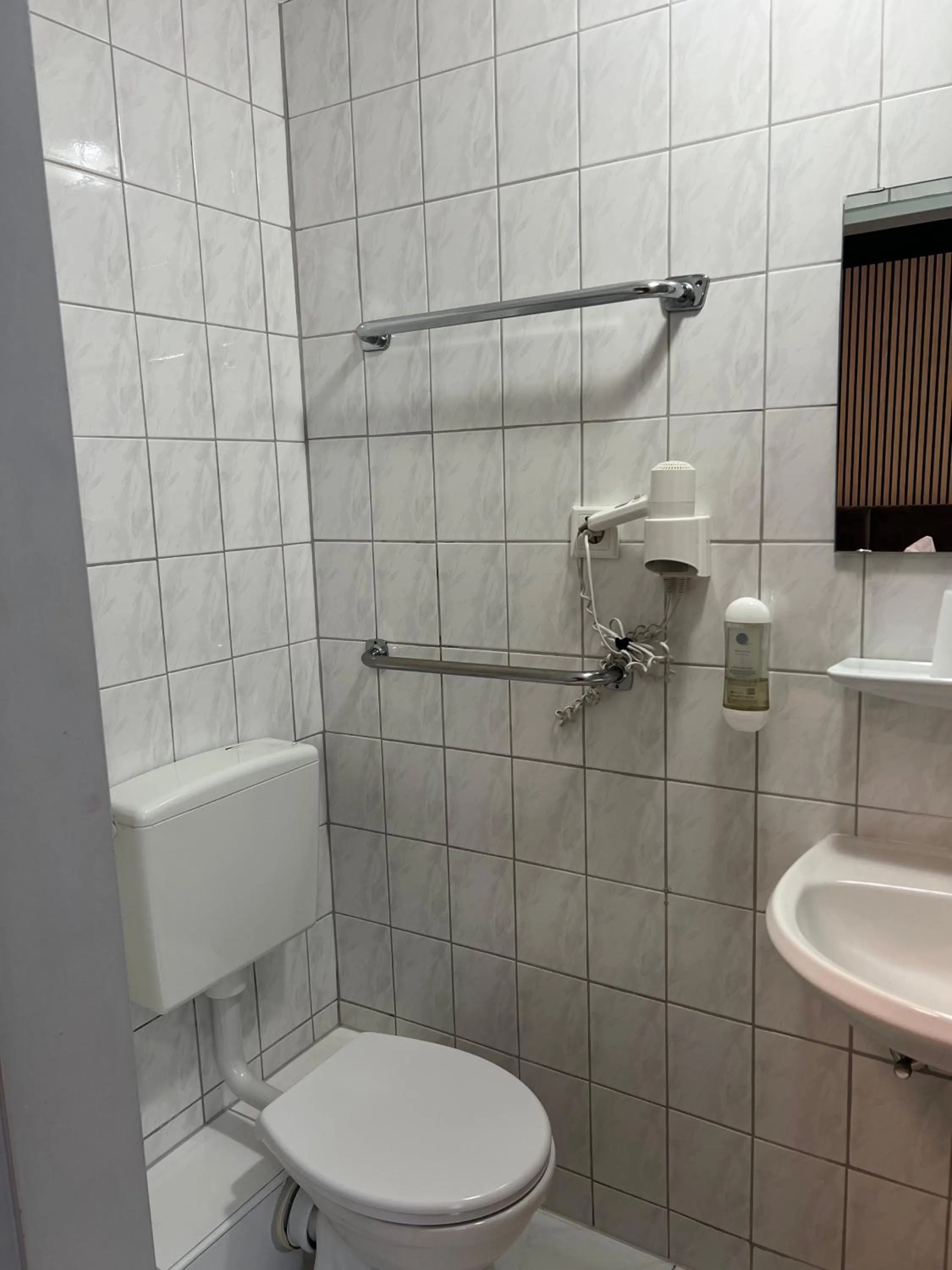 Toilet in Hotel Monopol