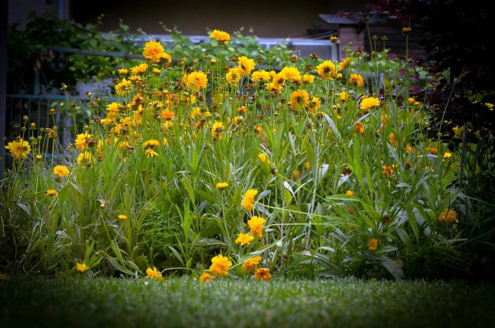 Spring in Hotel Del Golfo