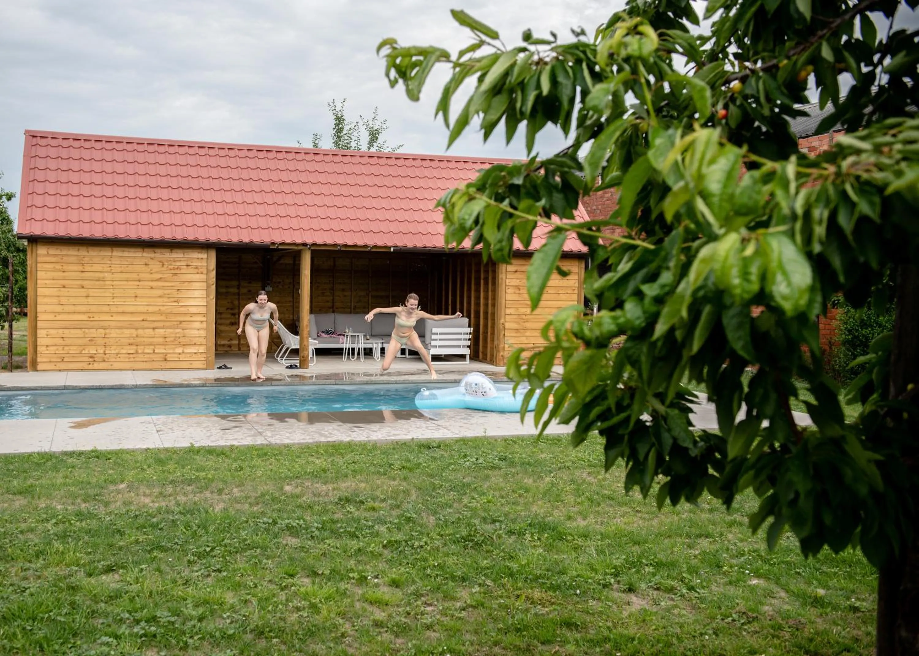 Swimming pool in B&B De Fruithoeve