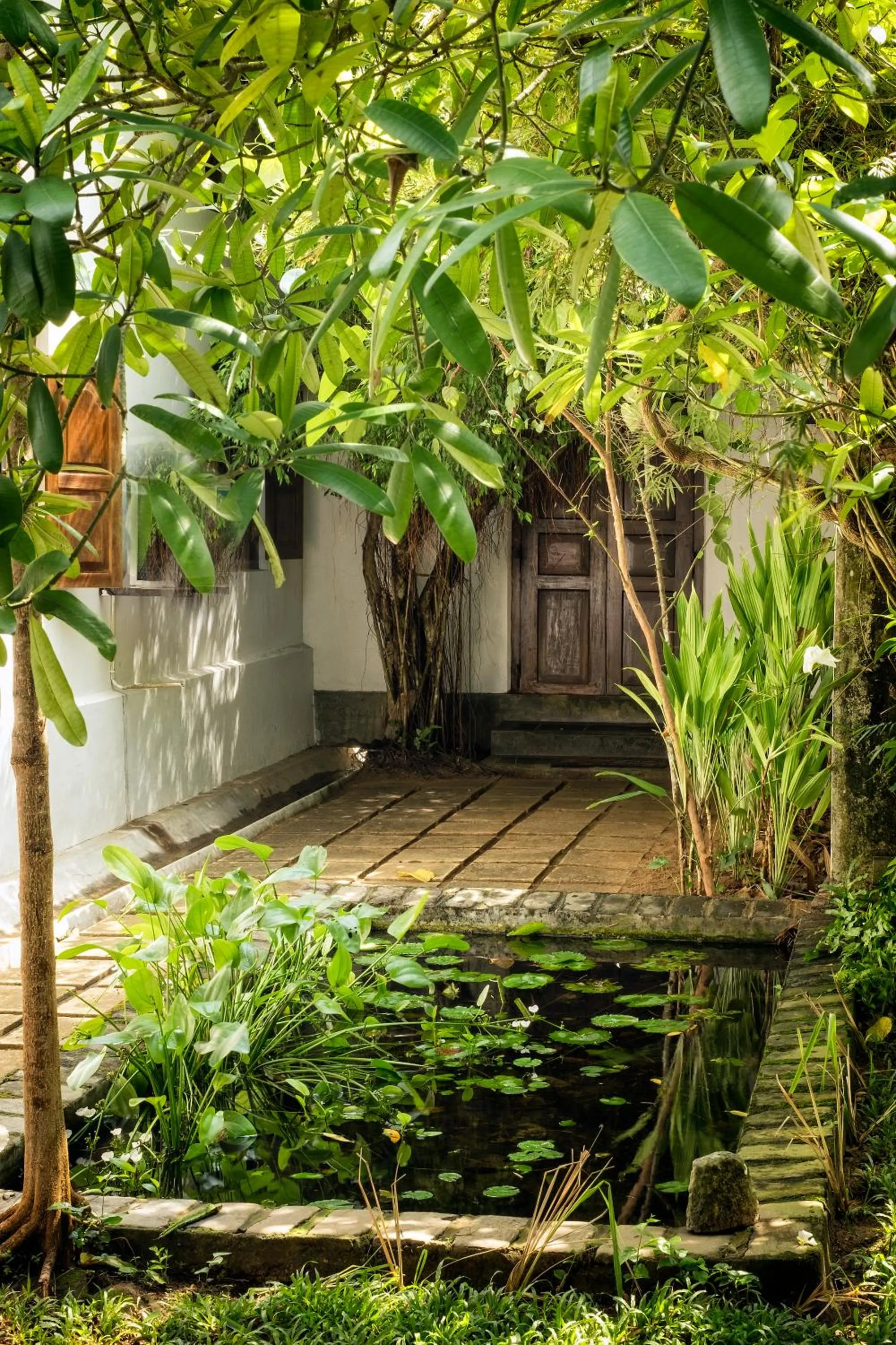 Garden in Nisala Arana Boutique Hotel