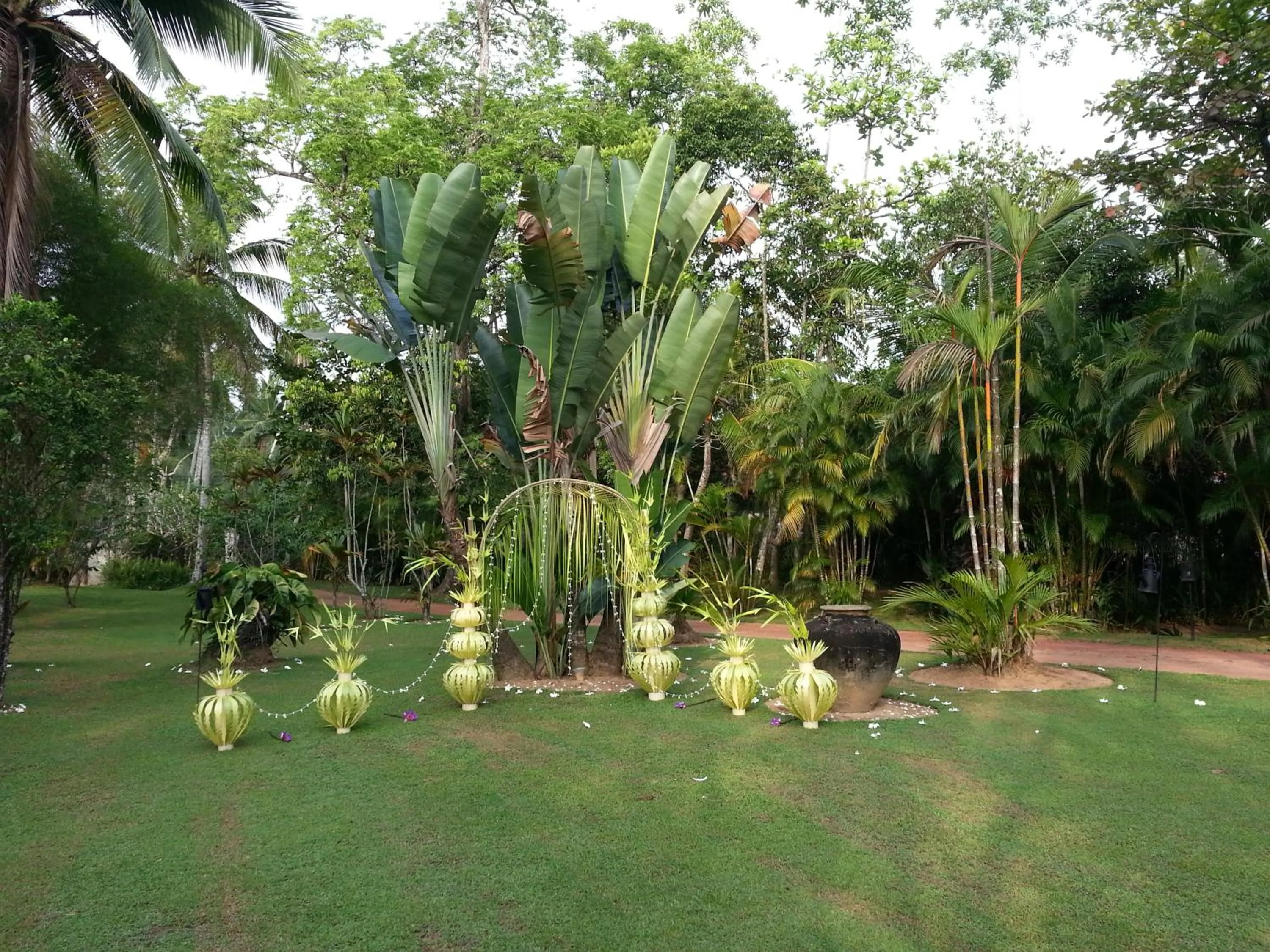 Natural landscape in Nisala Arana Boutique Hotel