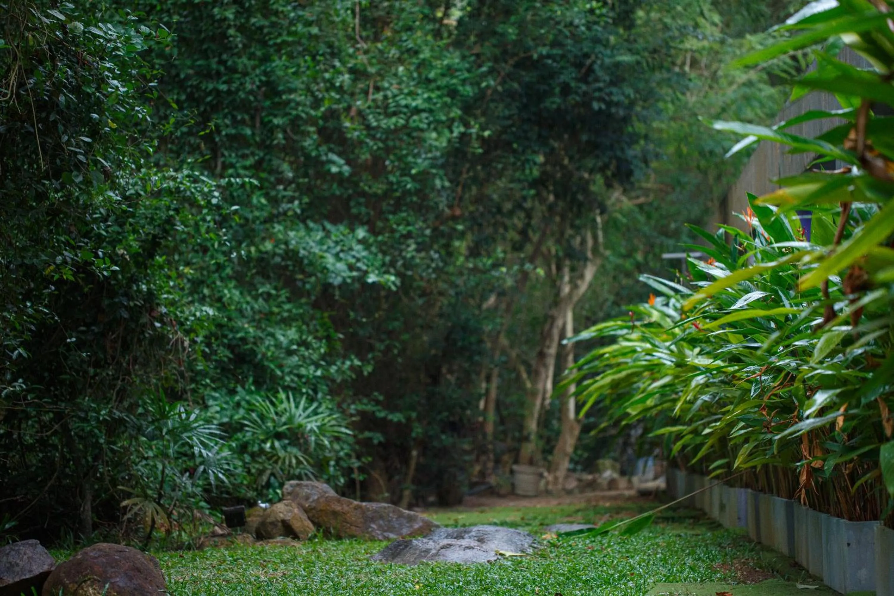 Garden in Villa Thawthisa The Boutique Hotel Unawatuna