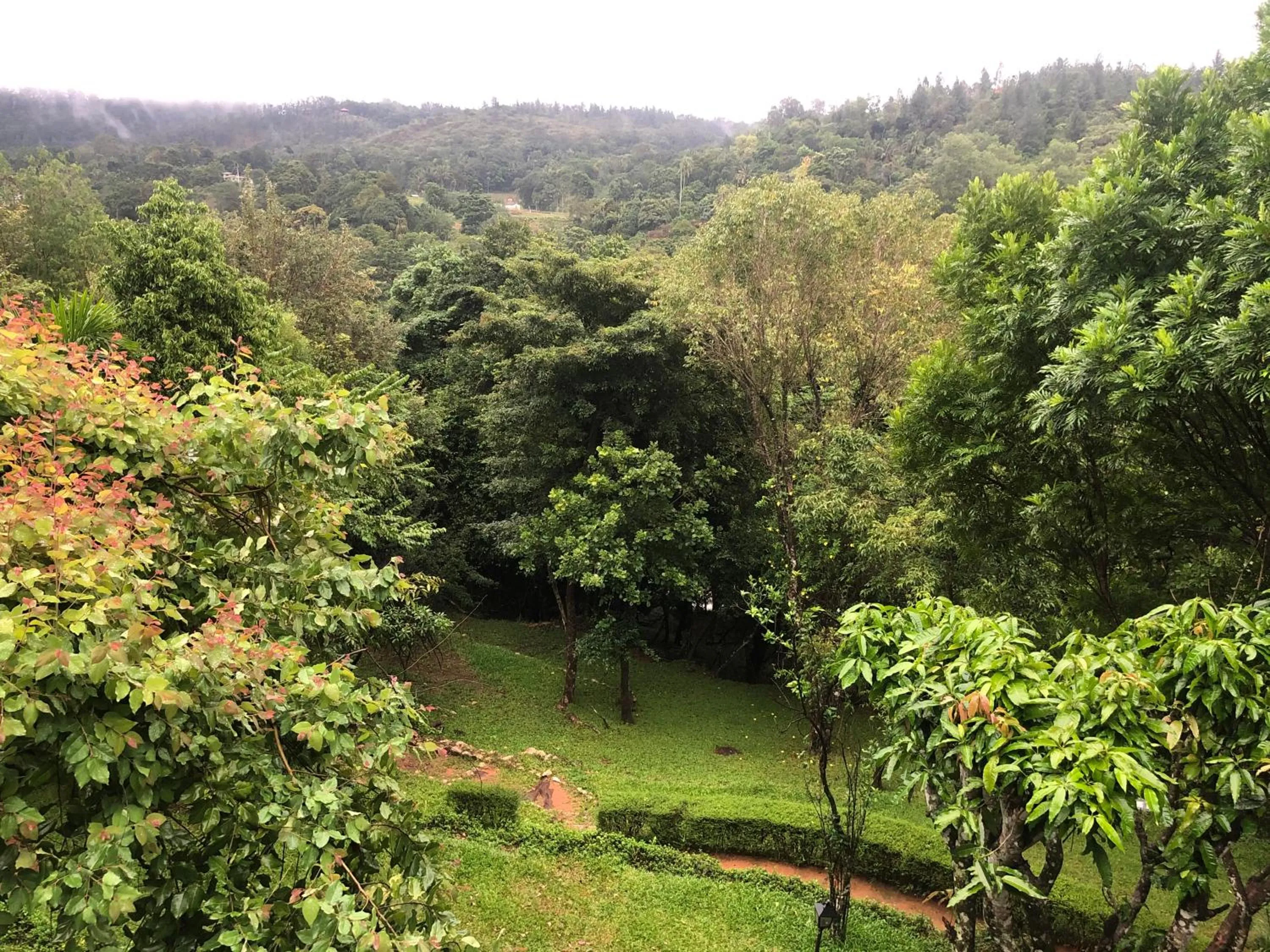 Garden in River Garden Resort