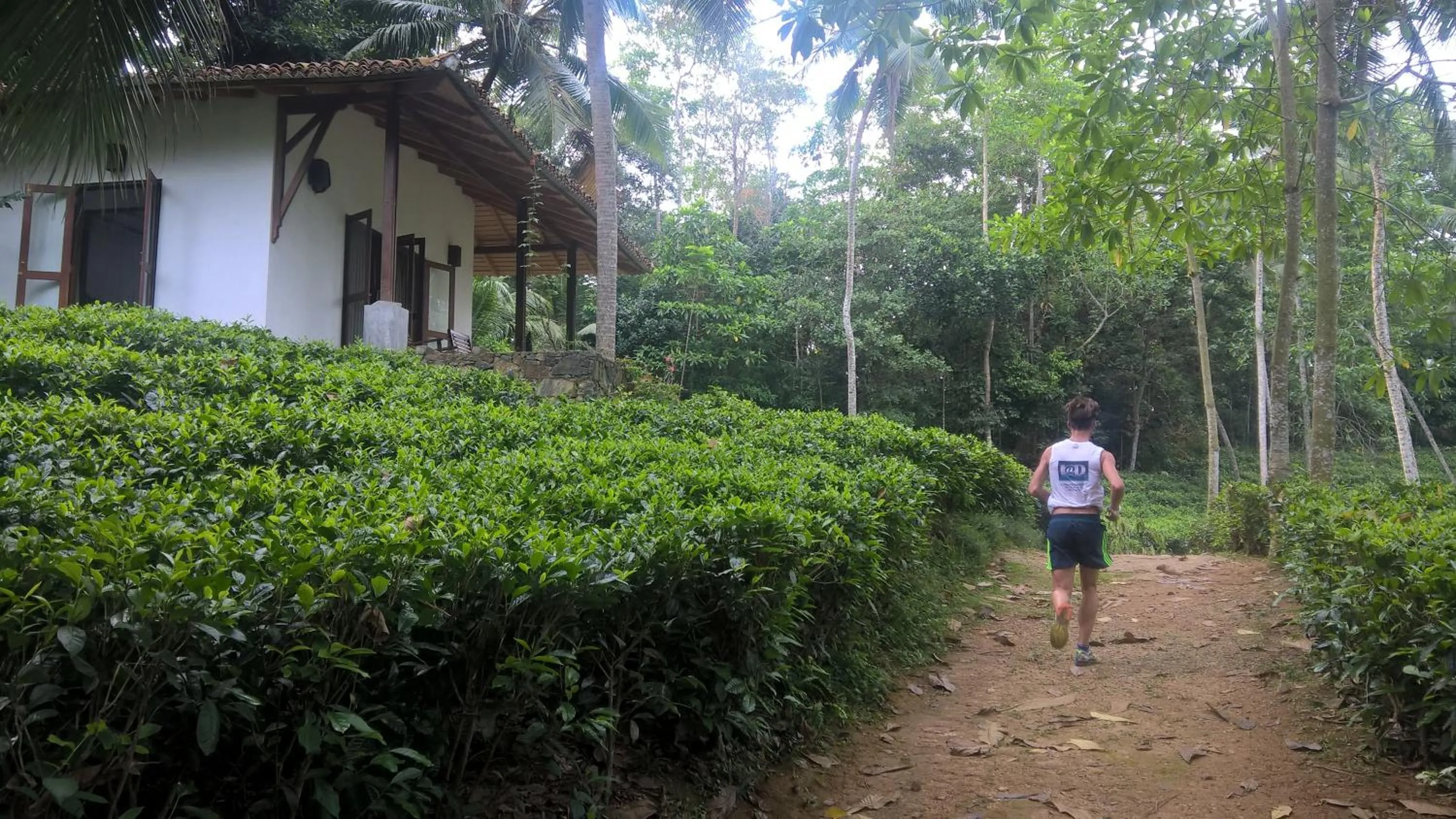 Garden in Leisure Land