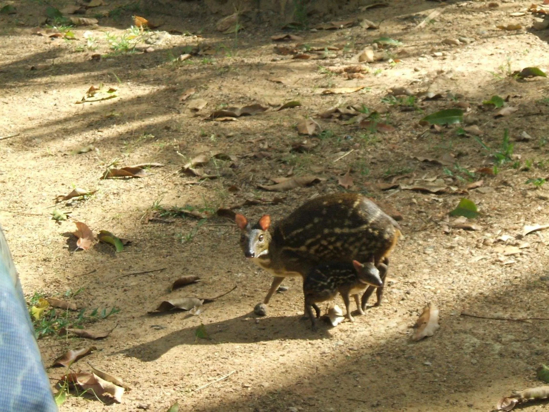 Other in Leisure Land