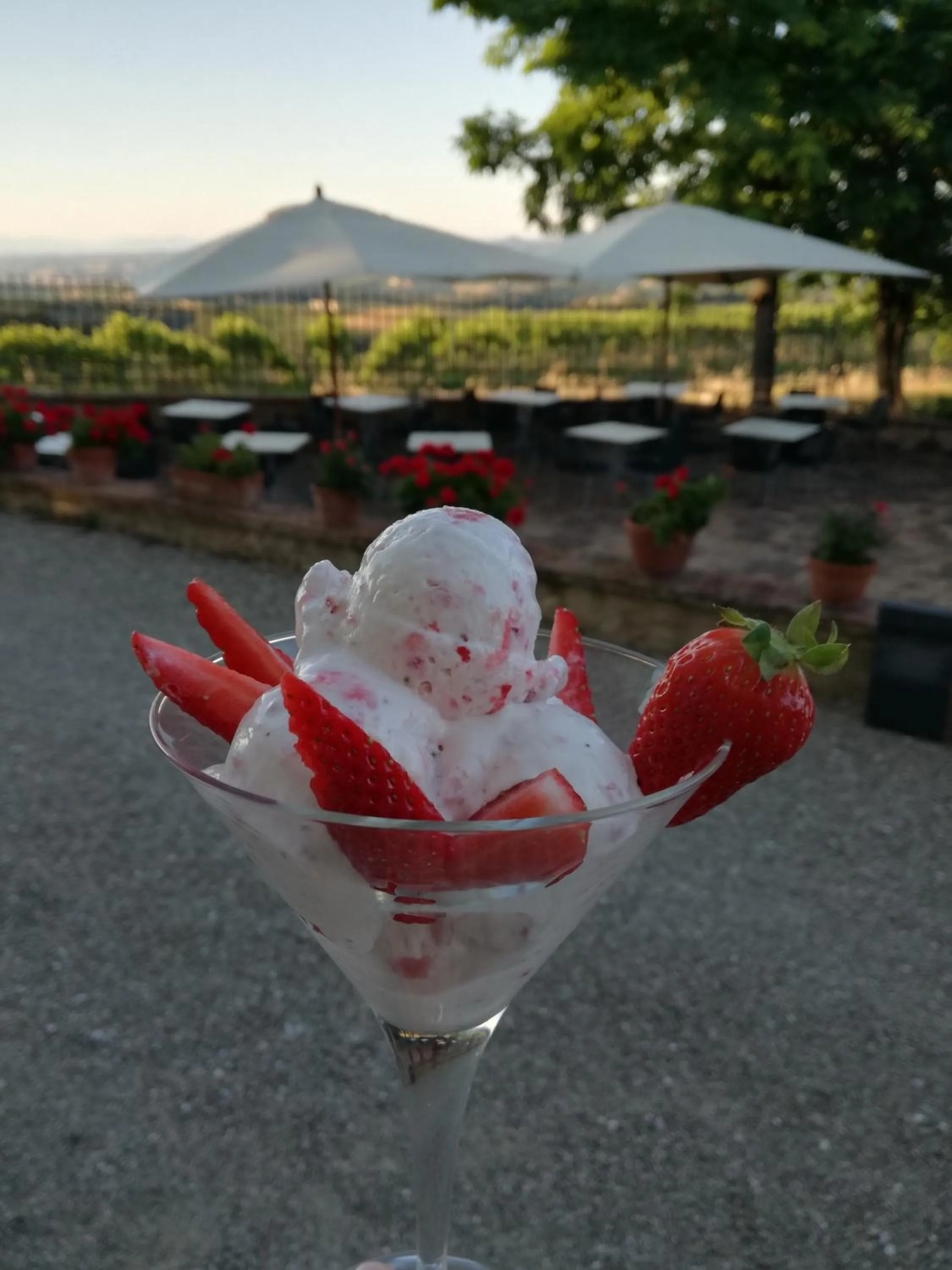 Dinner in Villa Ducci