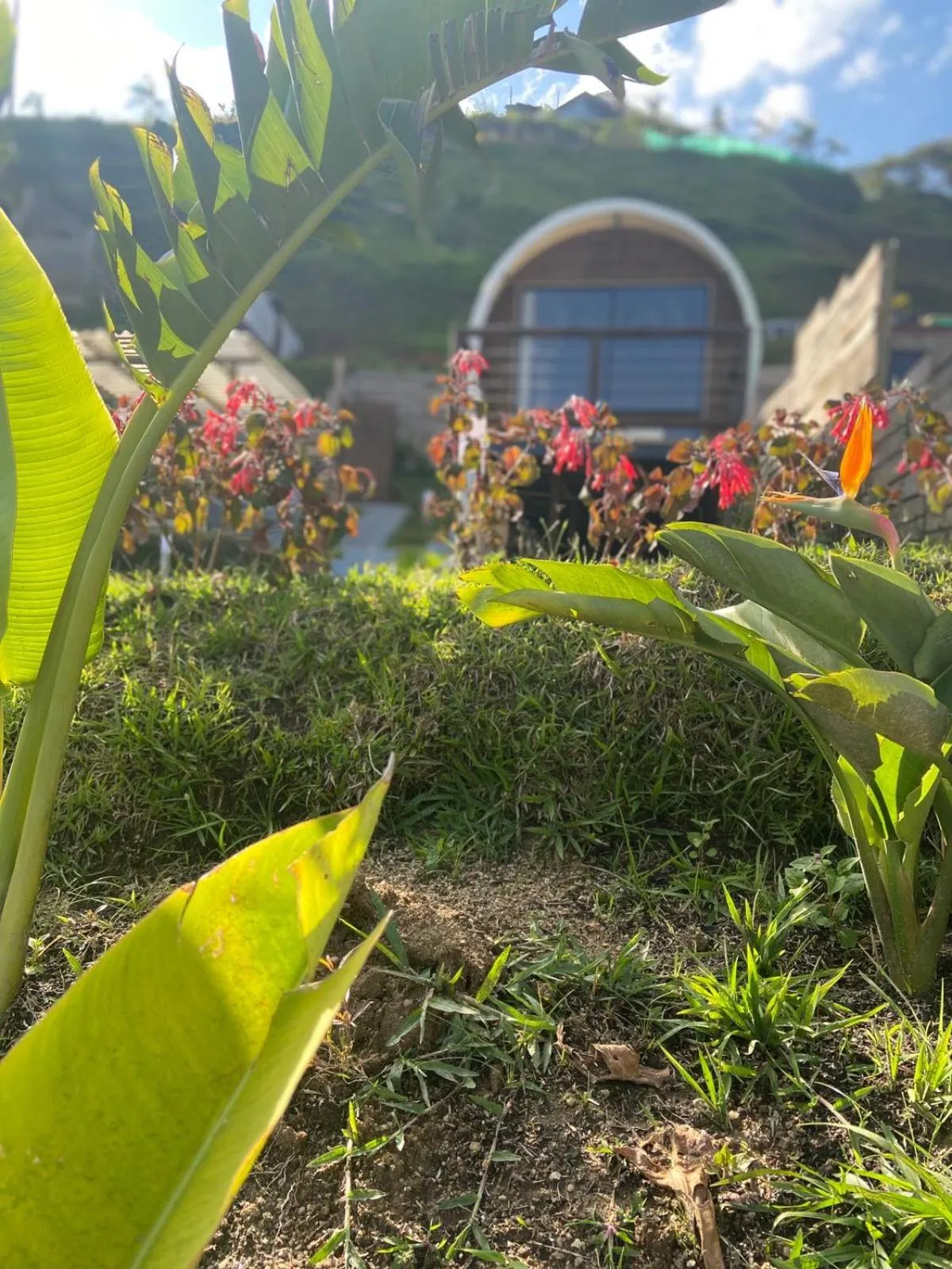 Garden in Glamping La Cepa GUATAPÉ