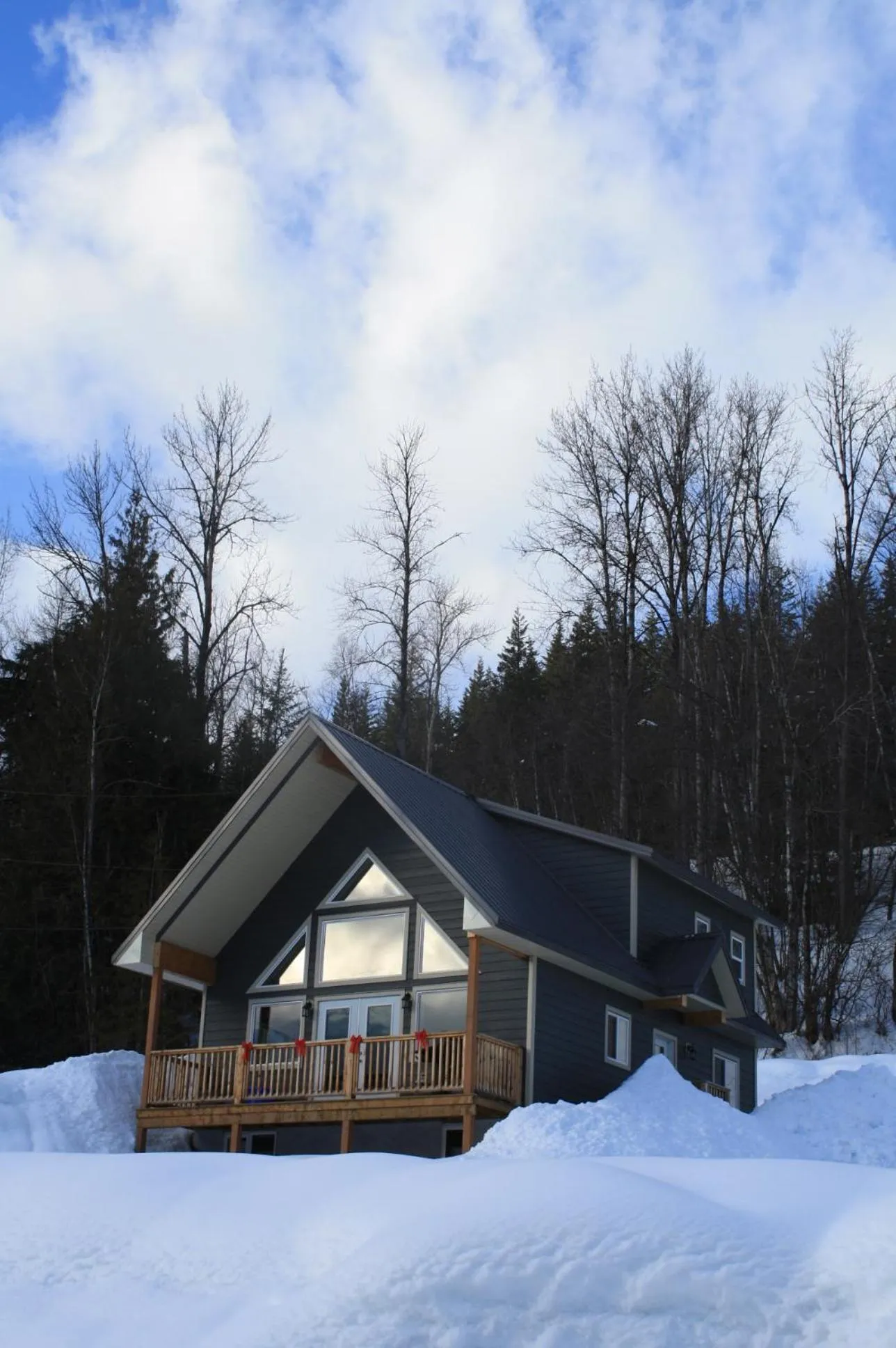 Property building in Stoke Cabin by Revelstoke Vacations