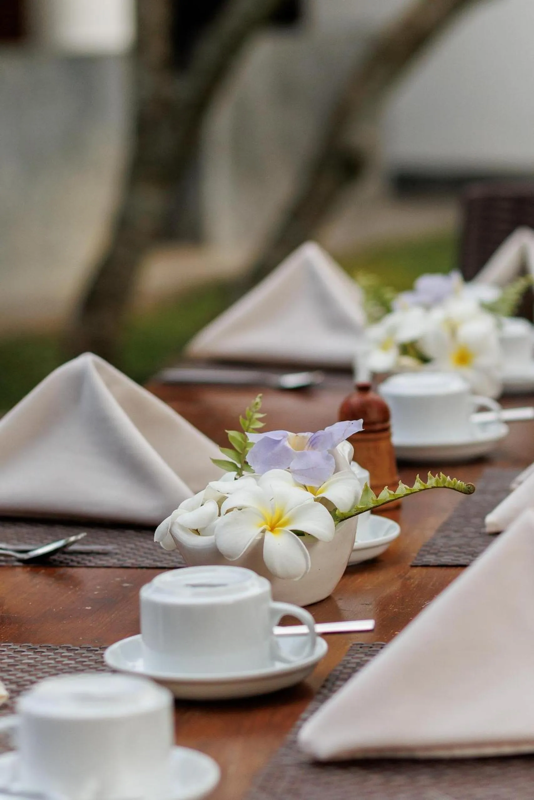 Restaurant/places to eat in Villa White Queen Resort & Spa