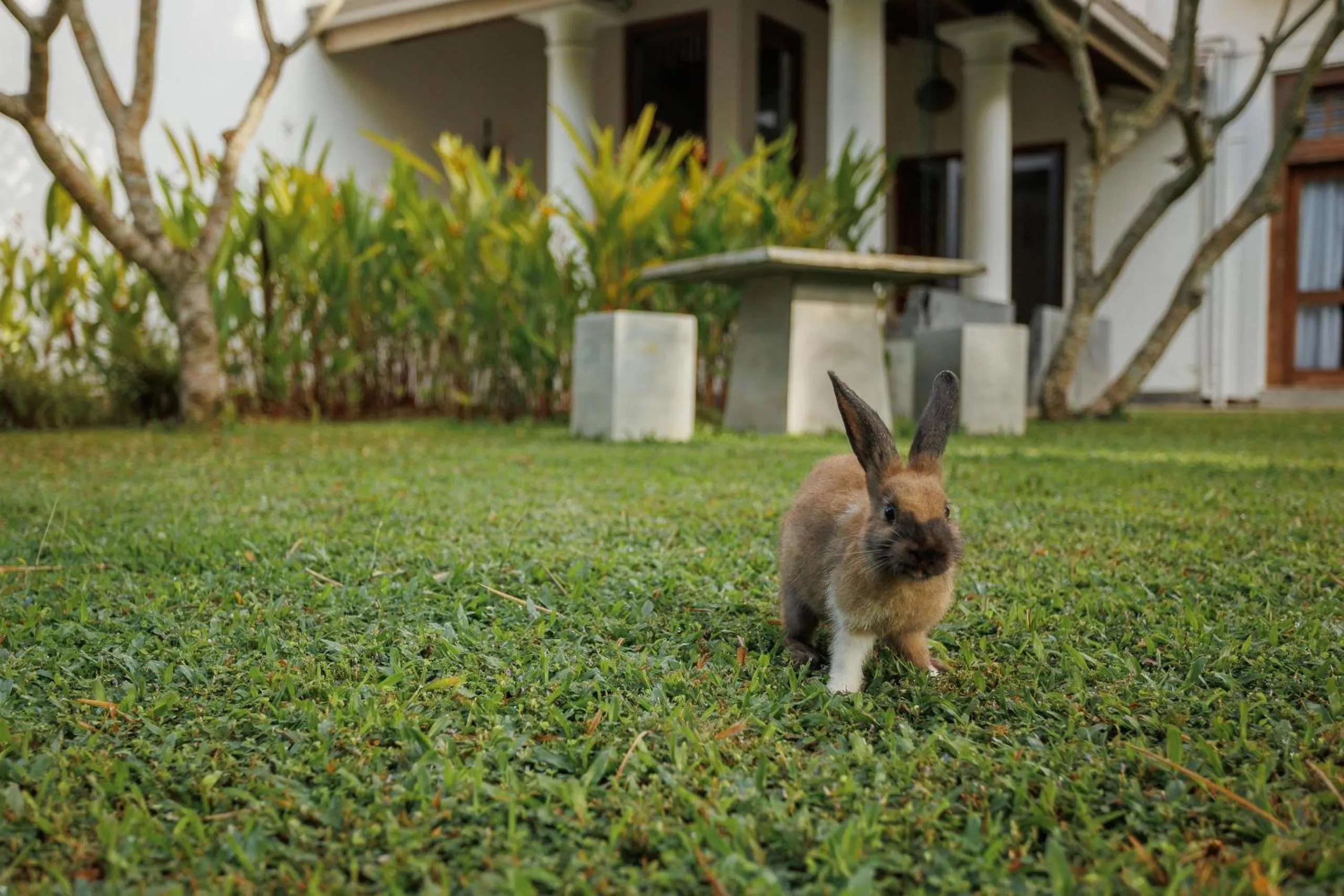 Garden in Villa White Queen Resort & Spa