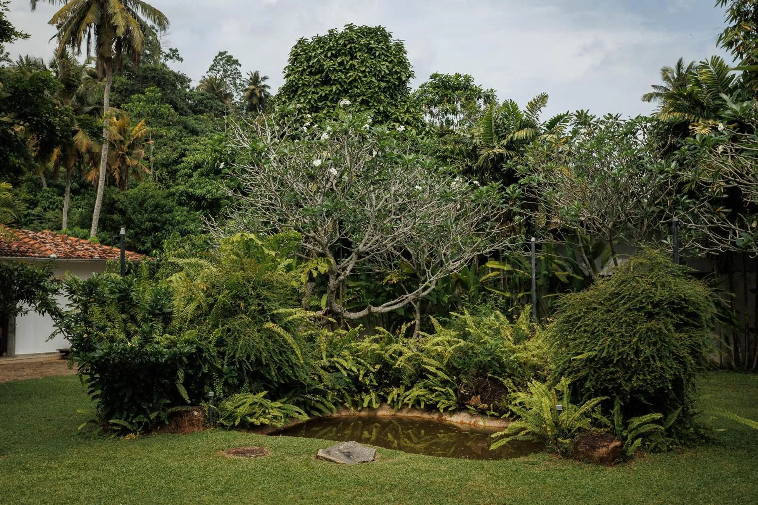 Day in Villa White Queen Resort & Spa