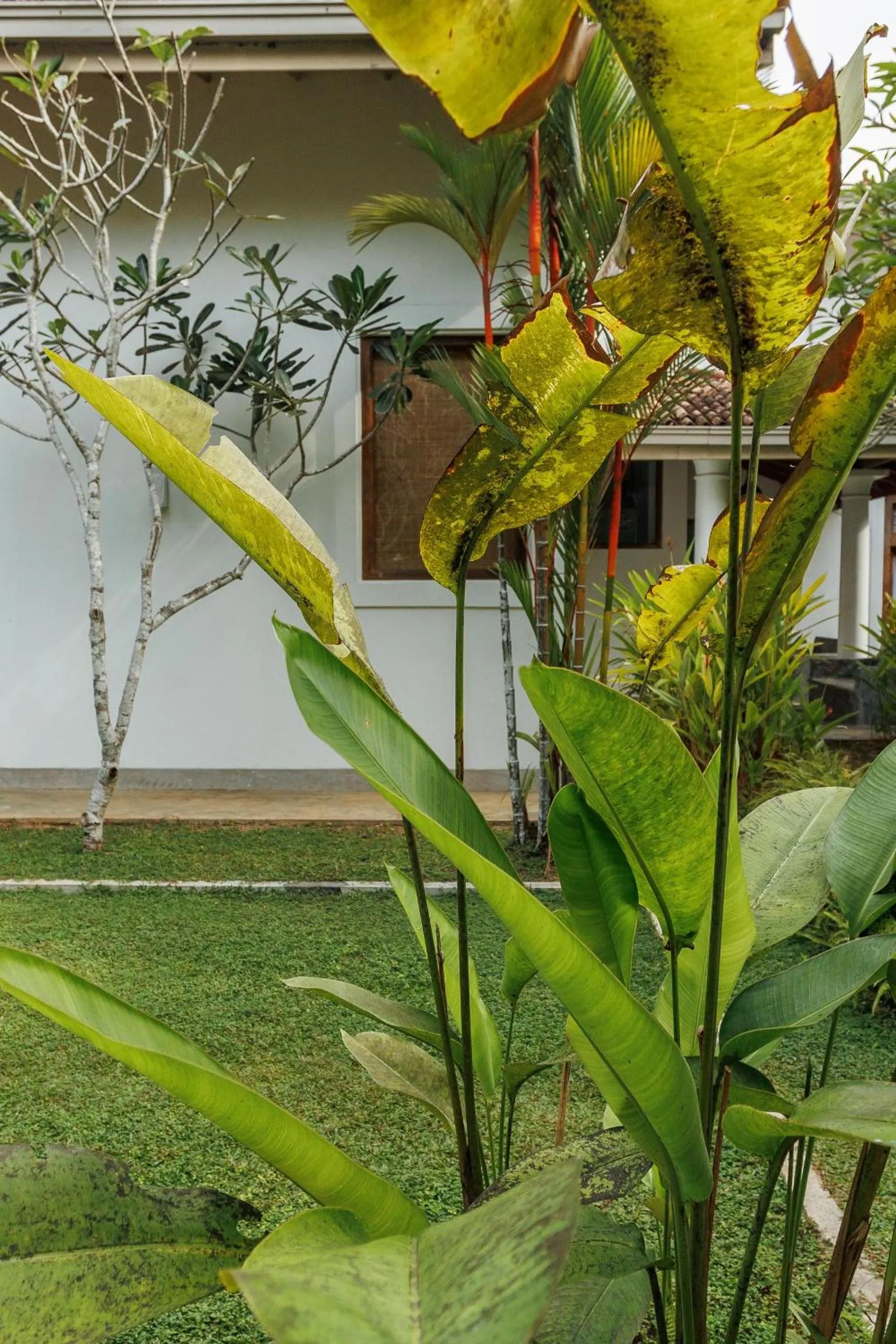 Garden in Villa White Queen Resort & Spa