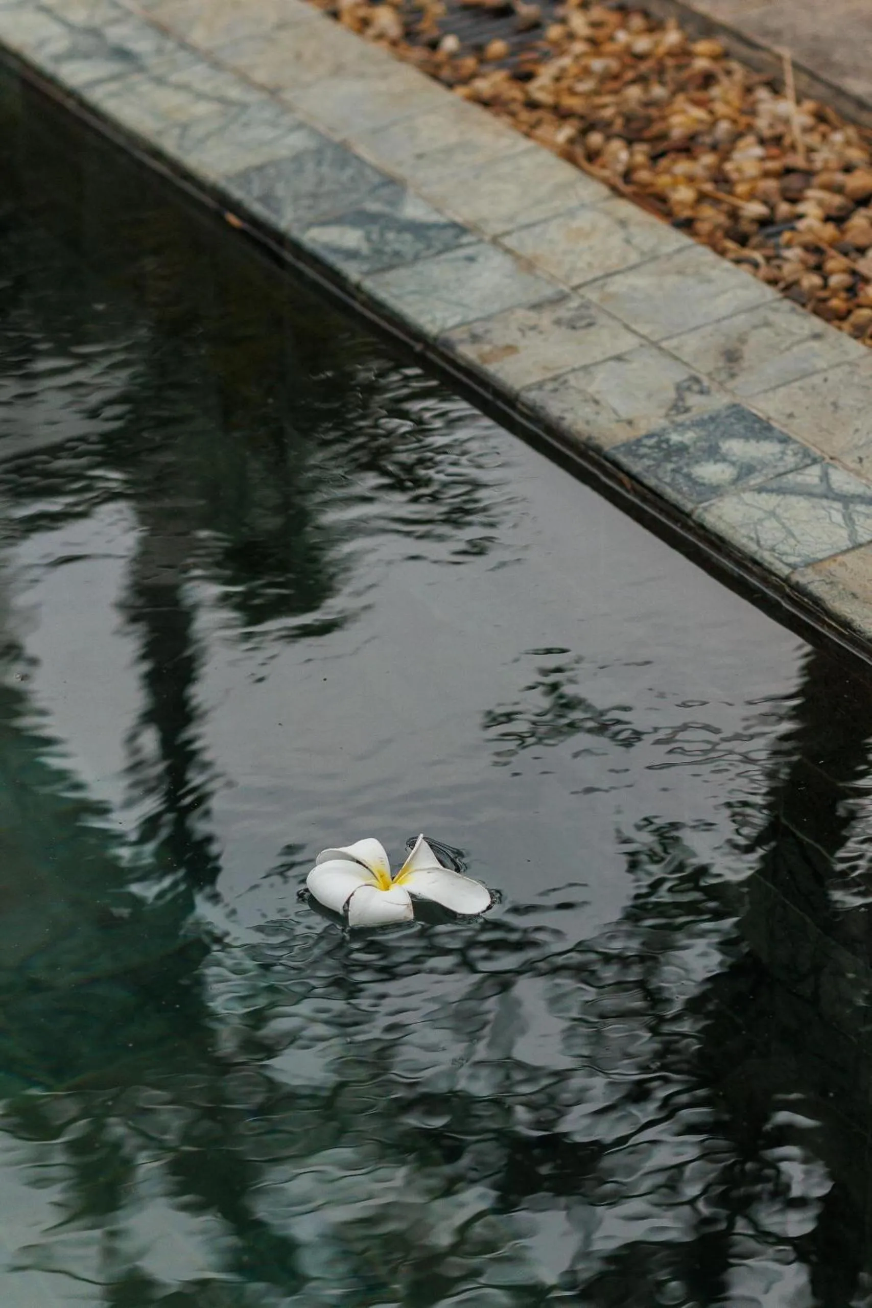 Swimming pool in Villa White Queen Resort & Spa