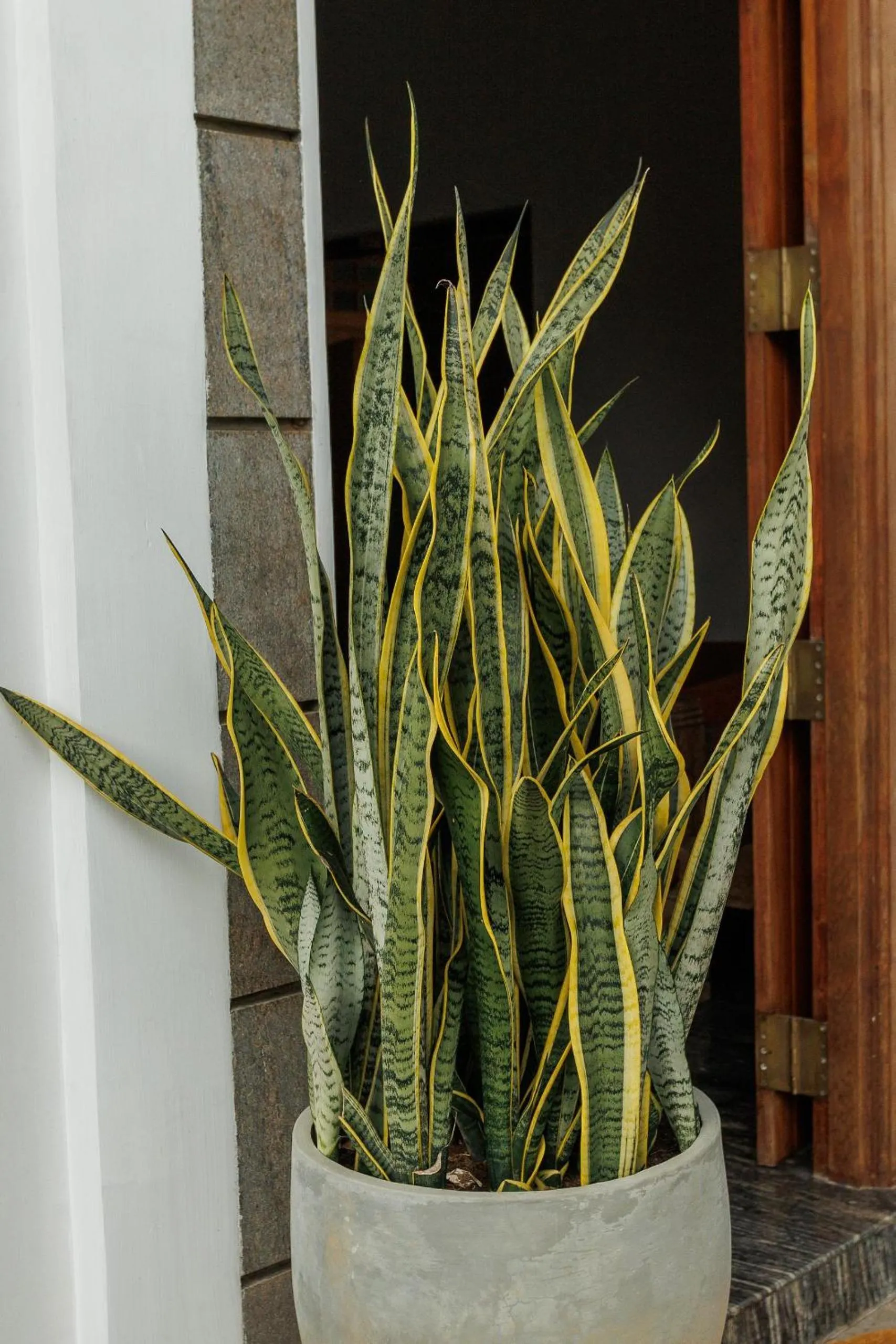 Property building in Villa White Queen Resort & Spa