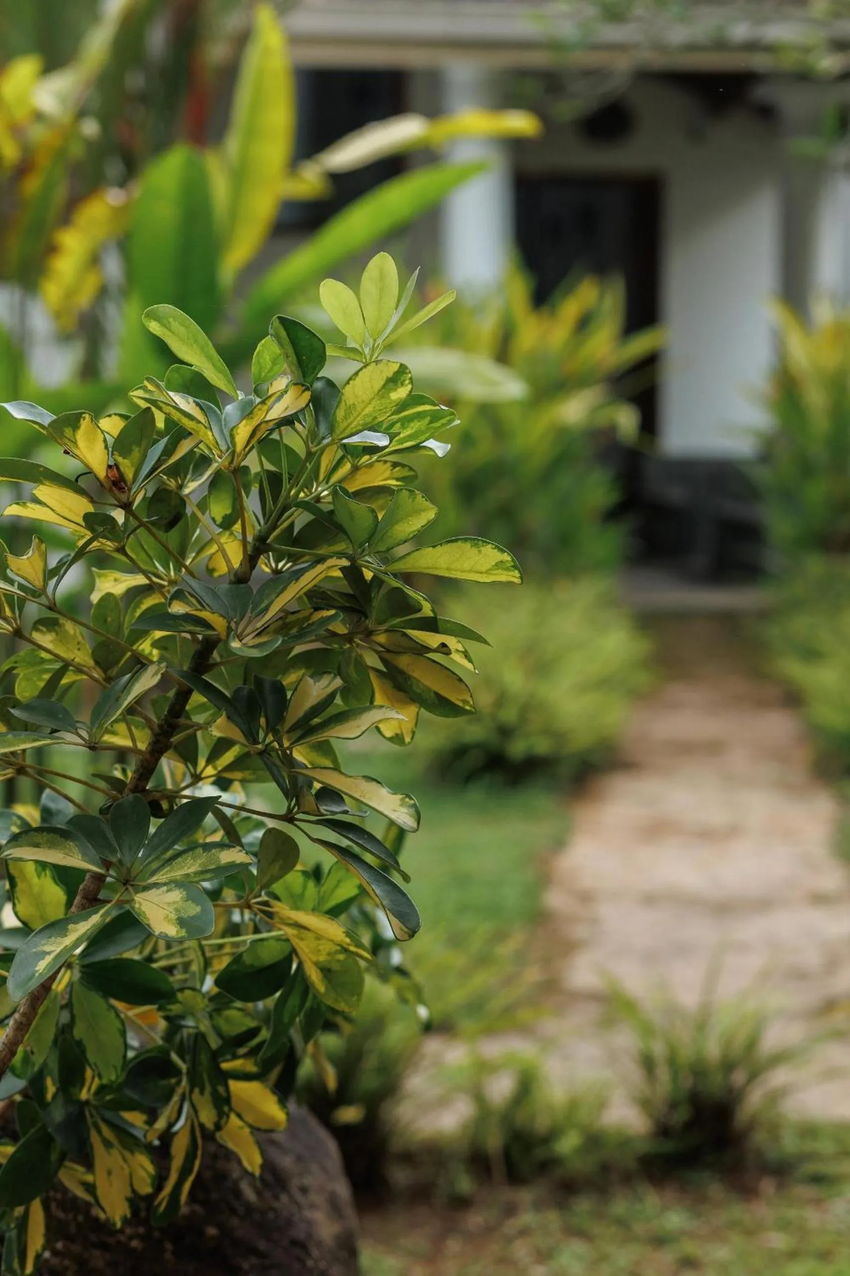 Property building in Villa White Queen Resort & Spa