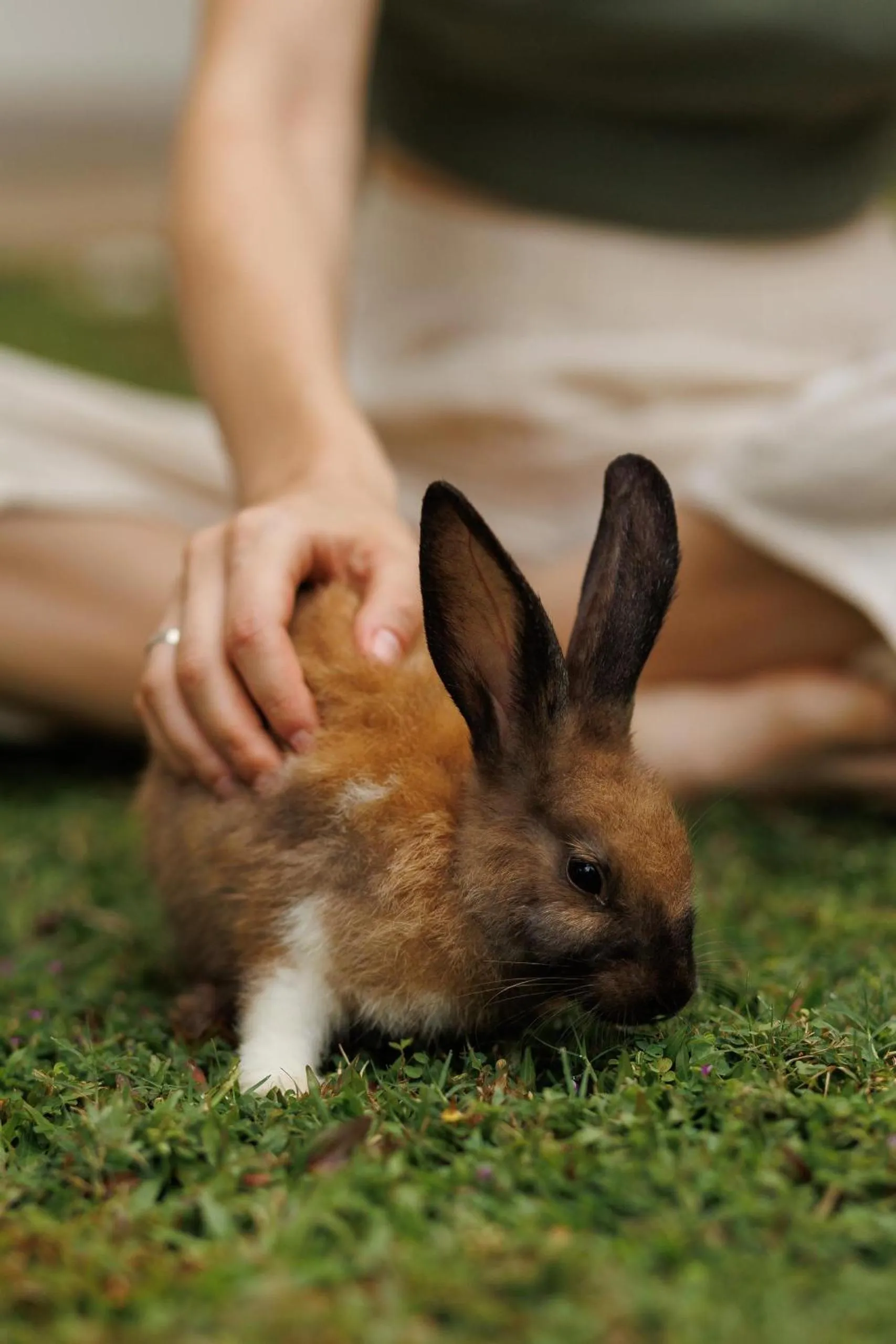 Property building in Villa White Queen Resort & Spa