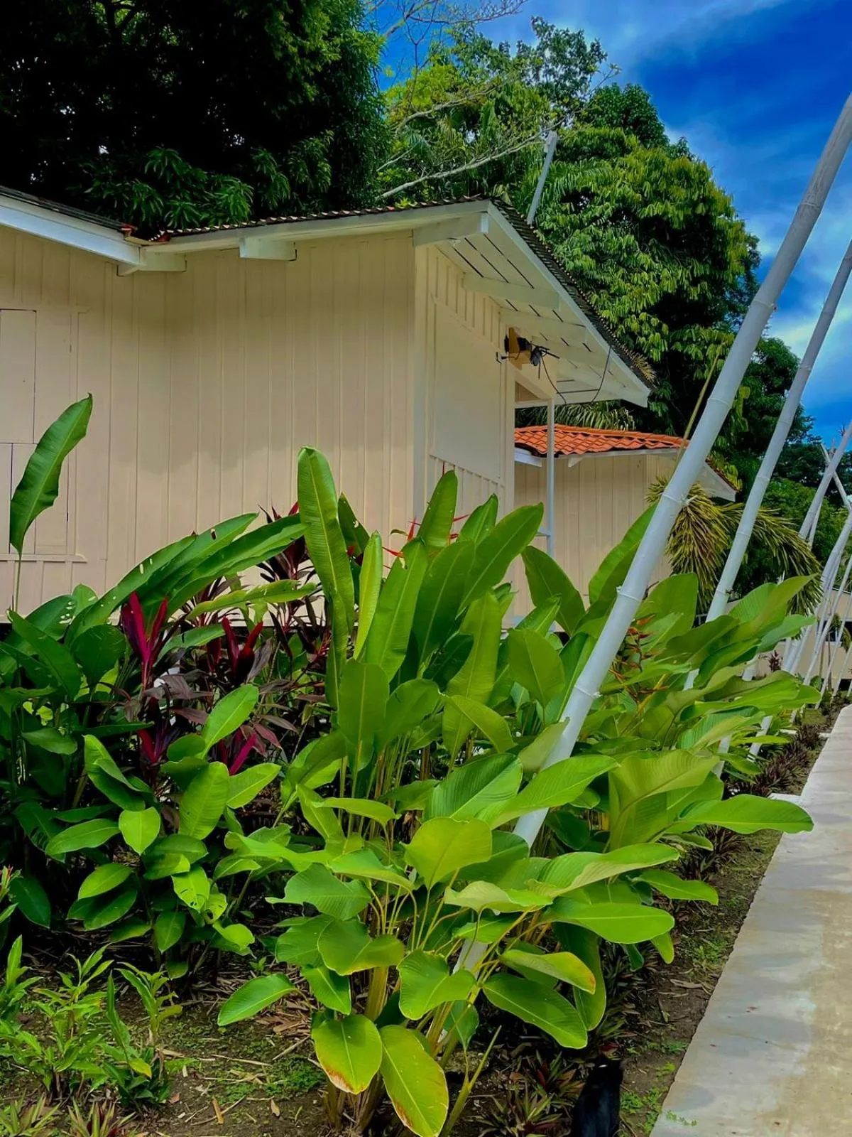 Property building in Grand Park Manuel Antonio - Adults Only