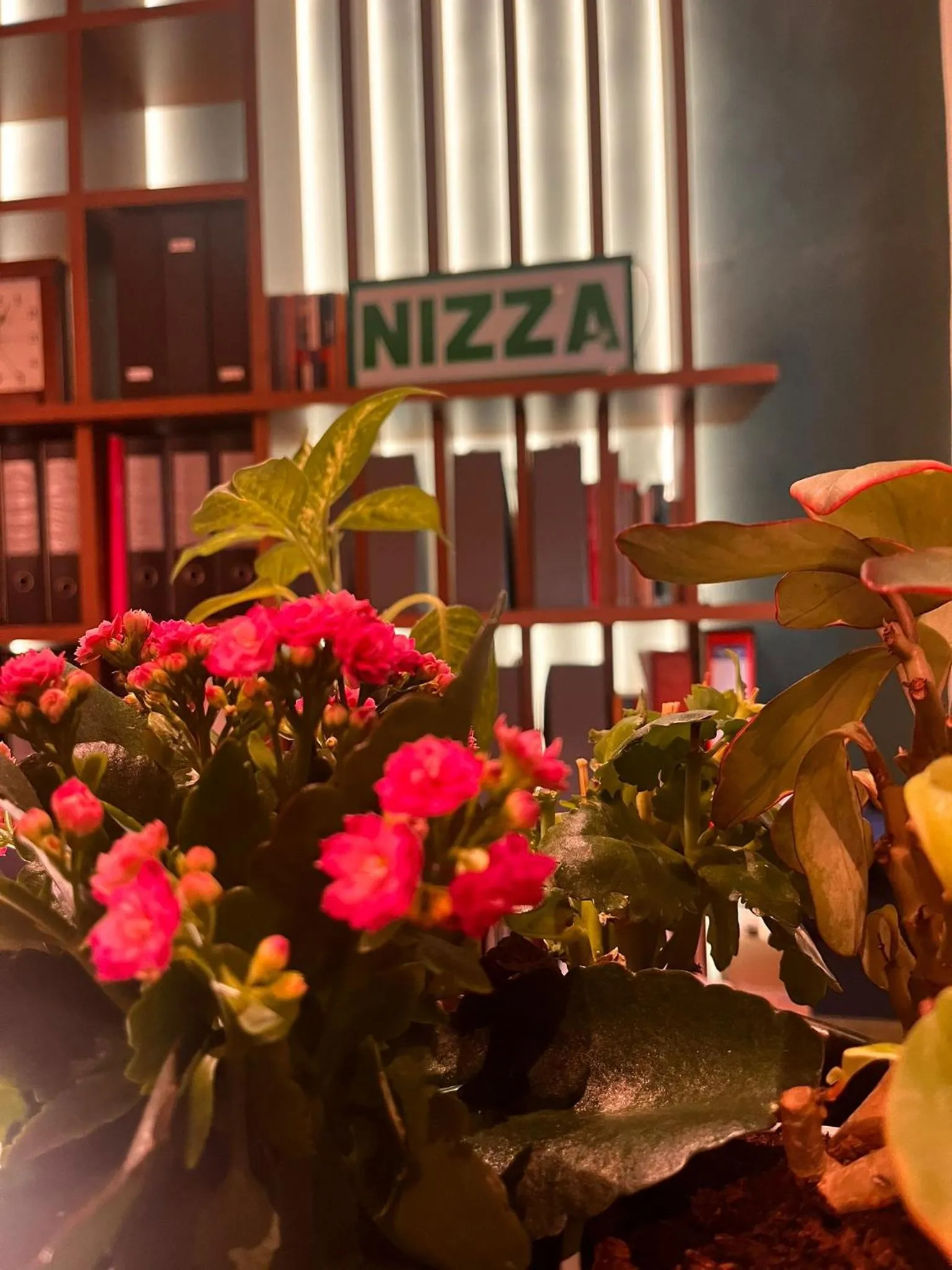 Lobby or reception in Hotel Nizza