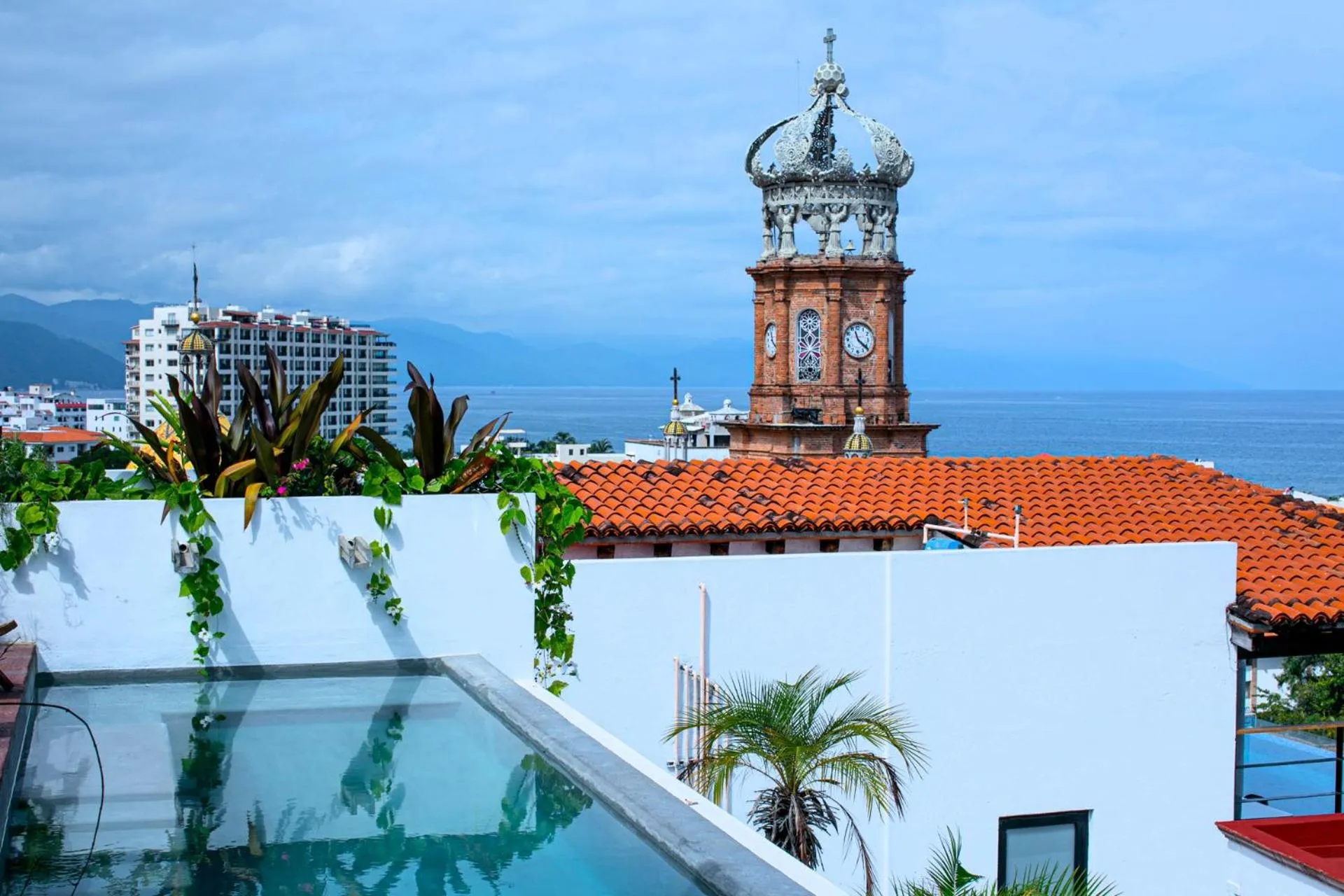 Natural landscape in Casa Pancha Puerto Vallarta Centro - Adults Only
