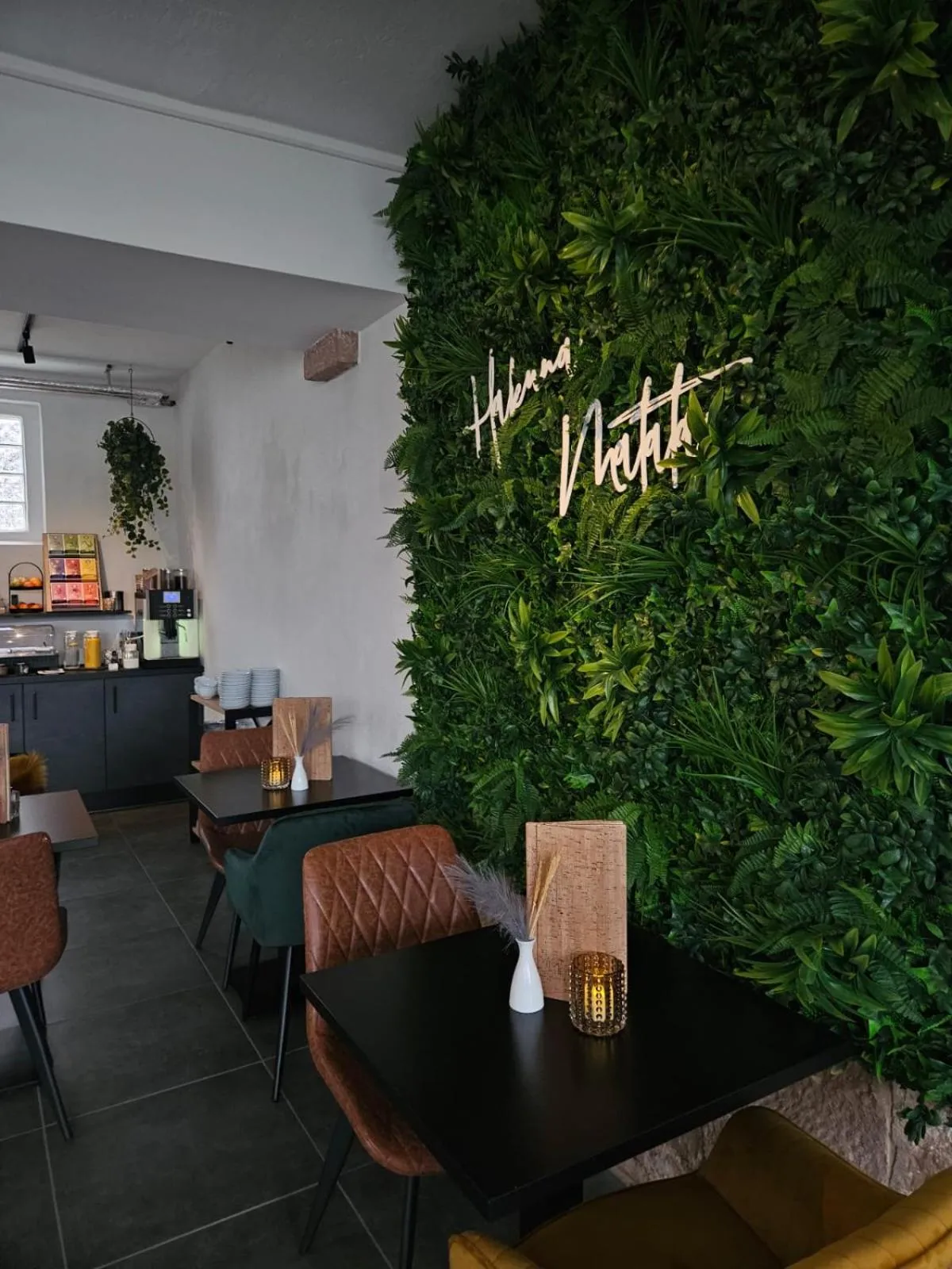 Breakfast in Hotel Apartment Ferienwohnung Meyenhof Frankenberg Eder