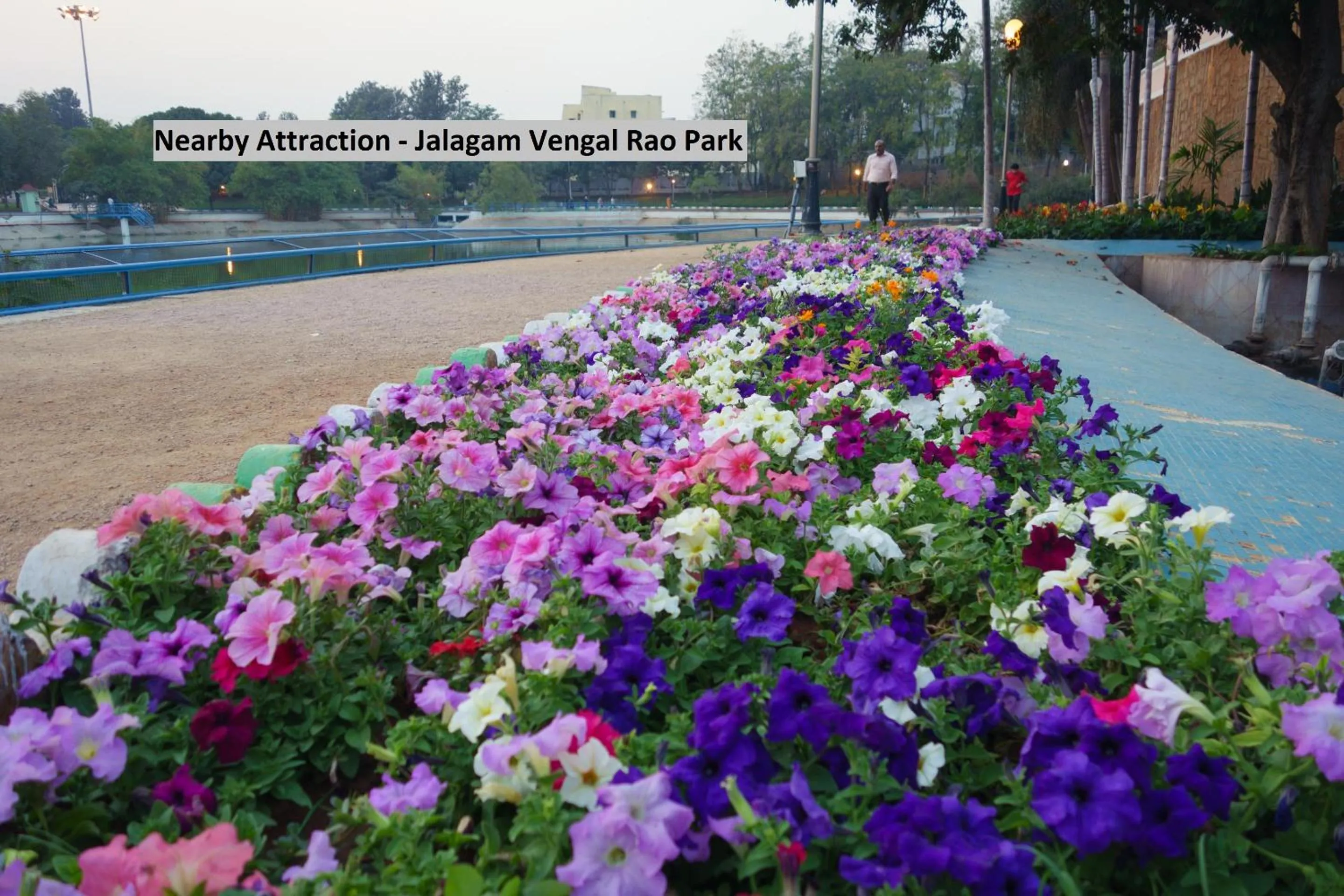 Nearby landmark in Collection O Park Heights Banjara Hills Near Gvk One Mall