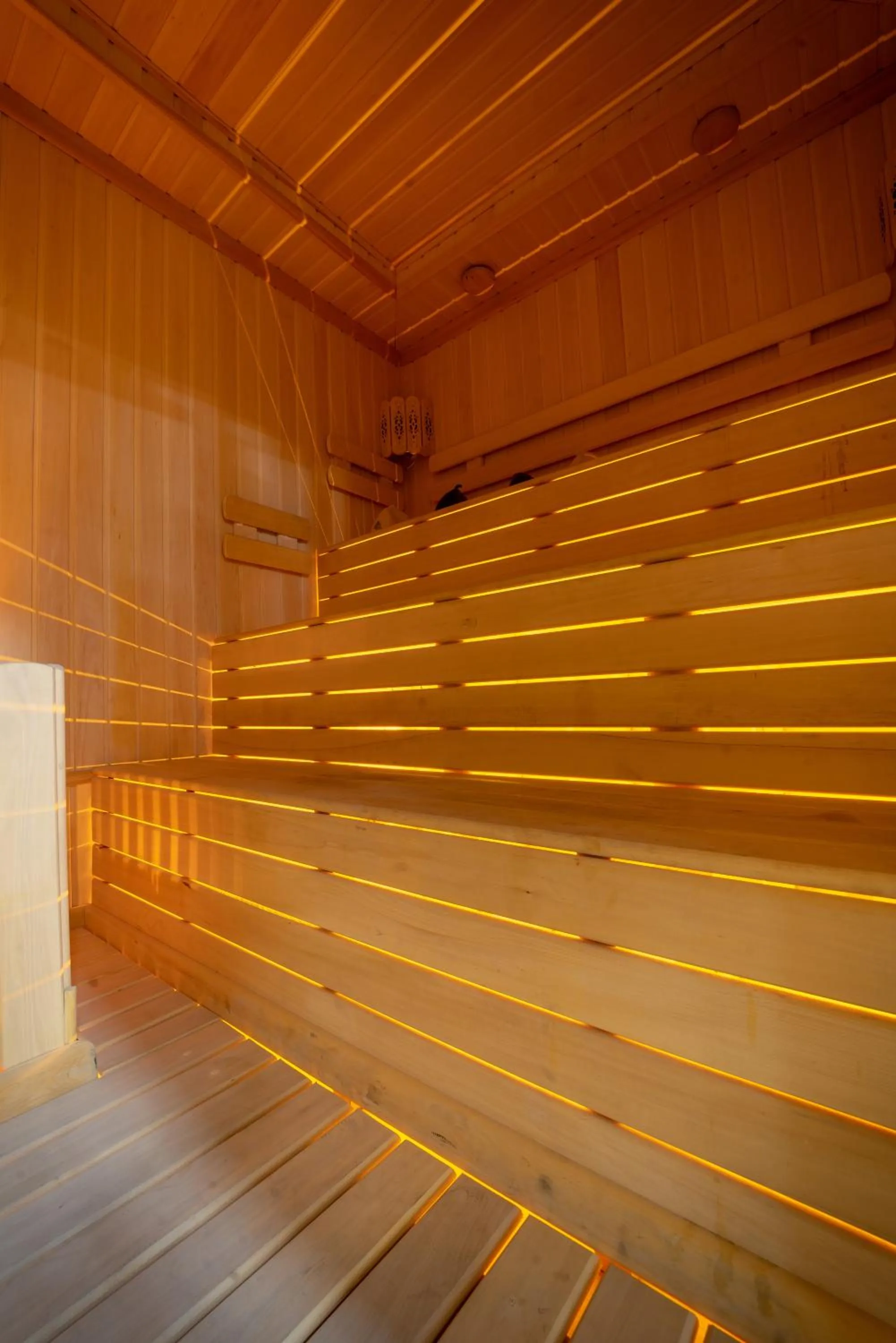 Sauna in Shohjahon Palace Hotel & Spa