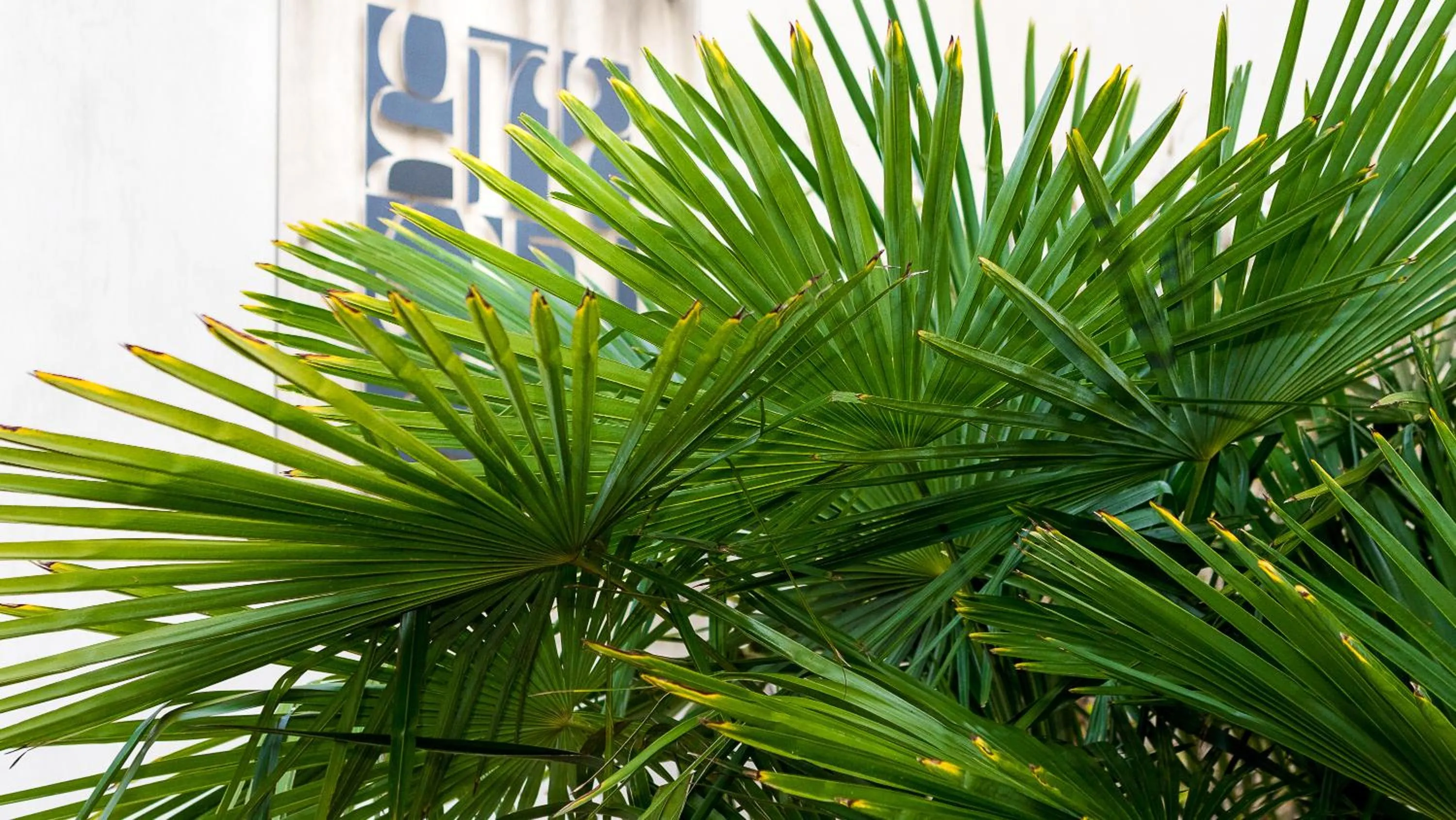 Area and facilities in Hotel Residenza Gra 21