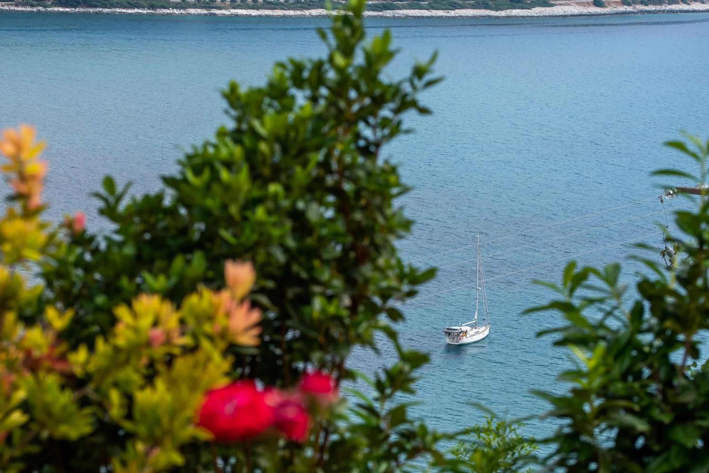 Natural landscape in Manifest Boutique Hotel