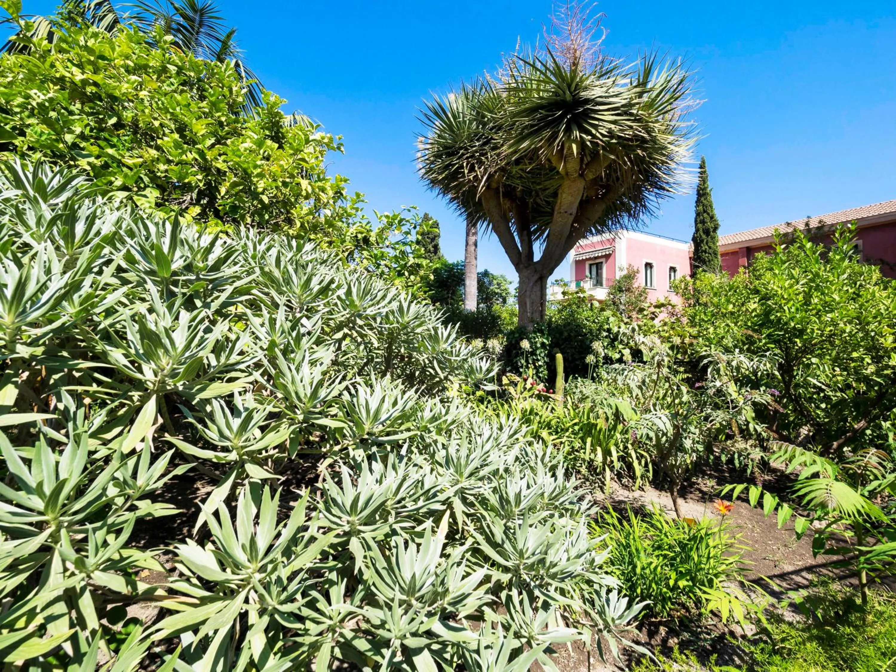 Garden in Hotel Villa Schuler