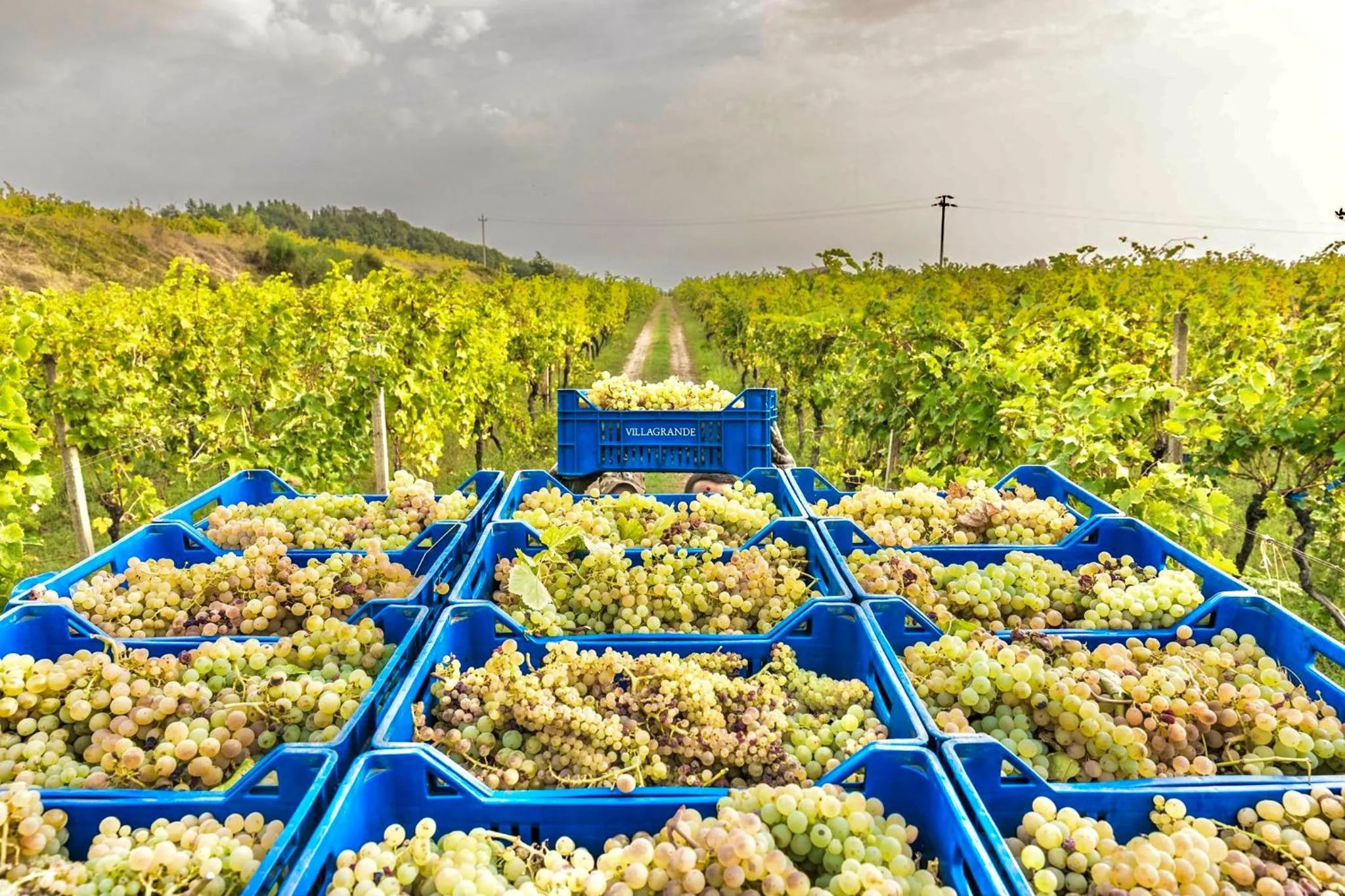 Activities in Hotel Villa Schuler