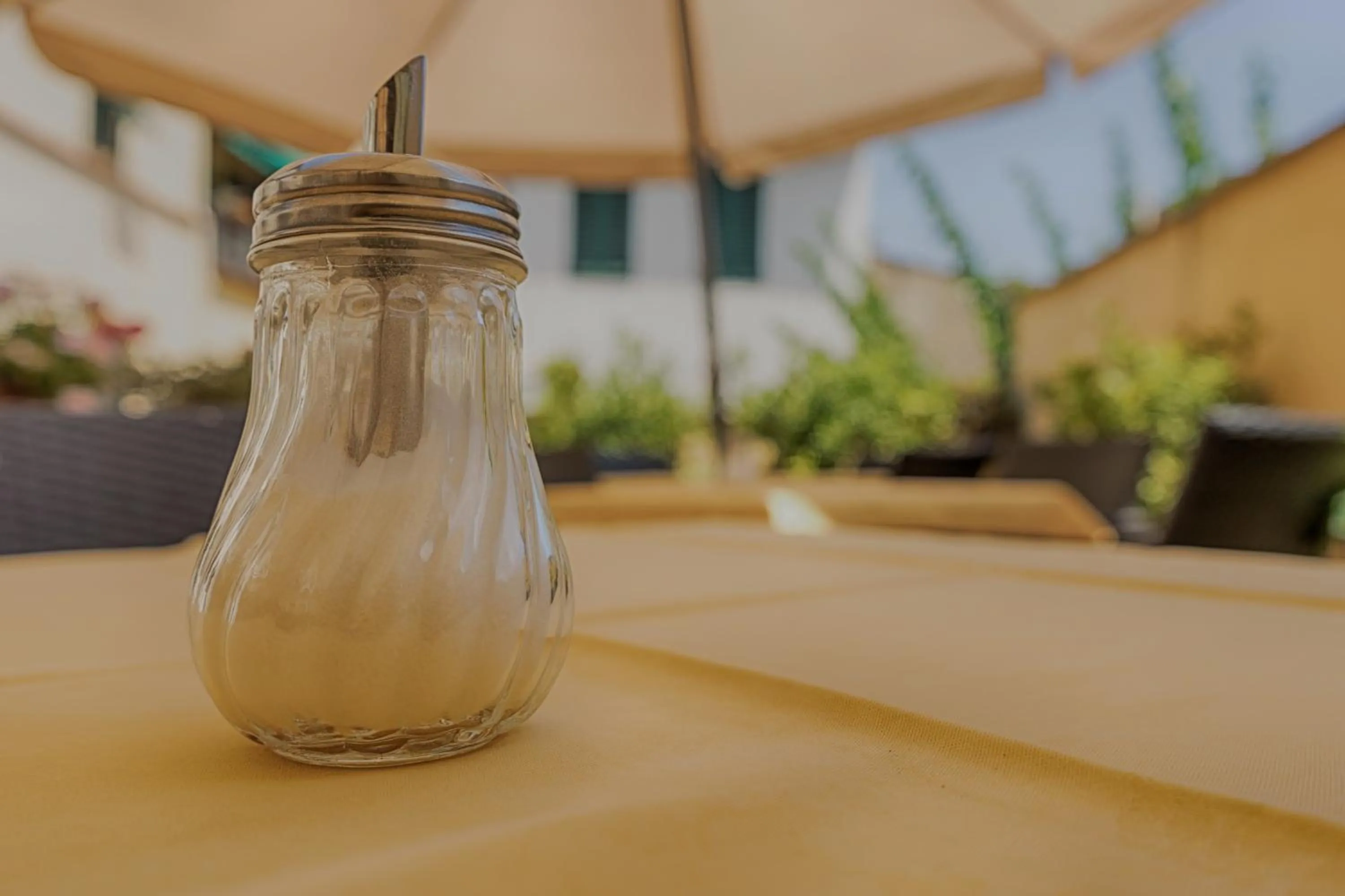 Balcony/Terrace in Hotel Monica