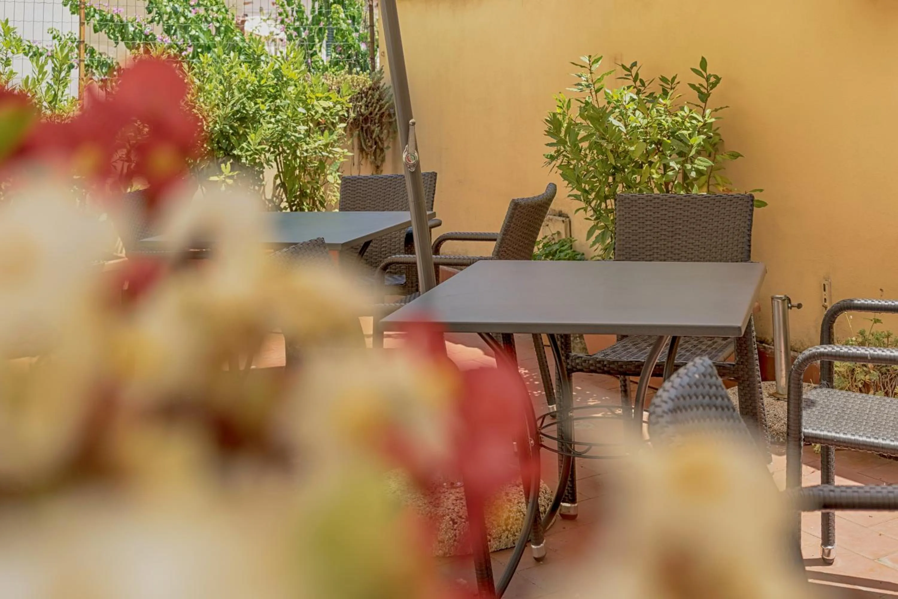 Balcony/Terrace in Hotel Monica