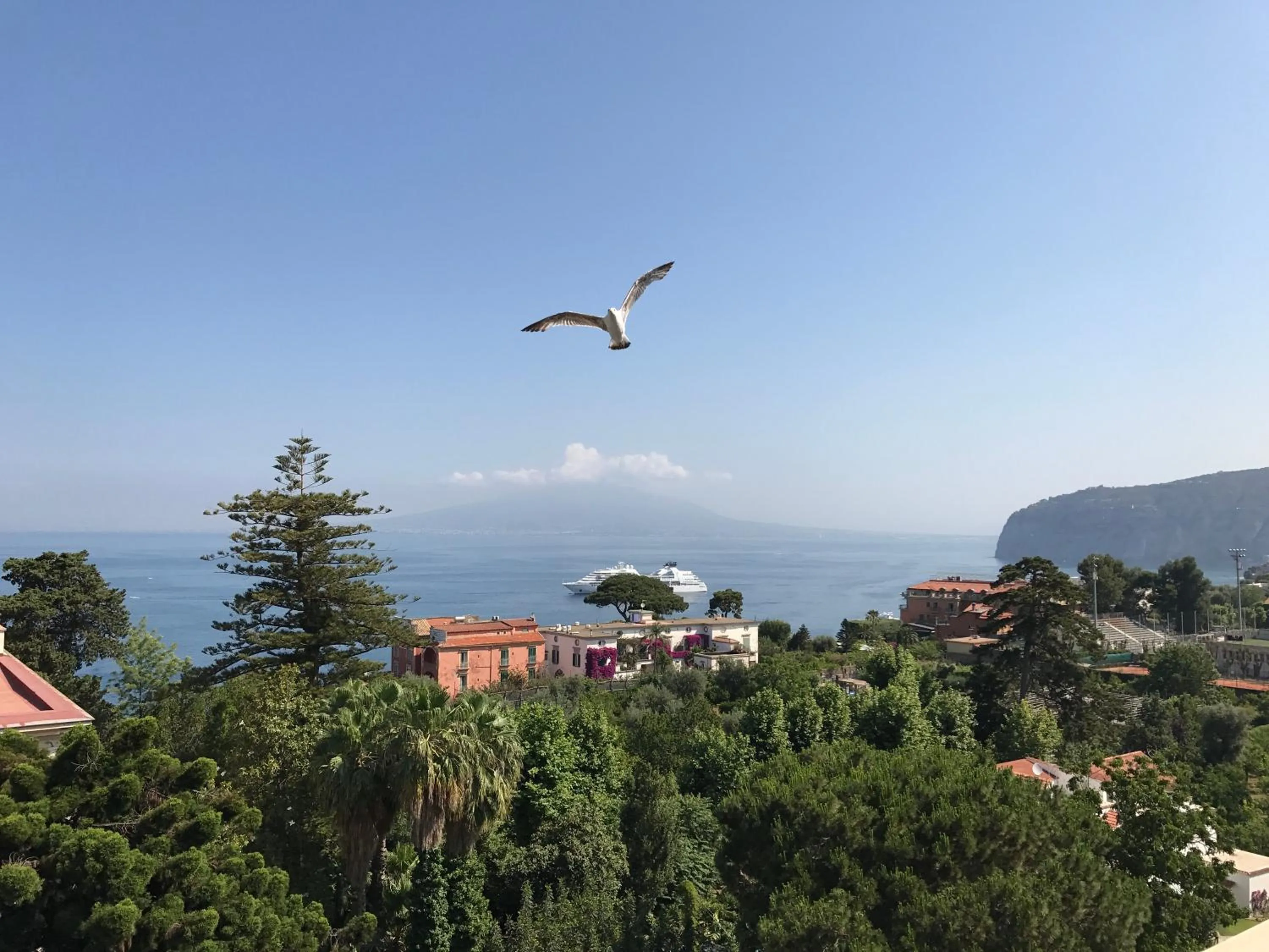 Balcony/Terrace in Hotel La Meridiana