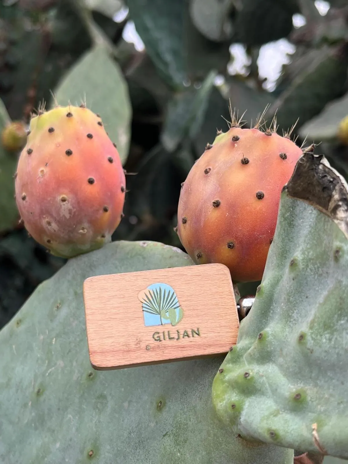 Day in Ta’ Giljan B&B Gozo