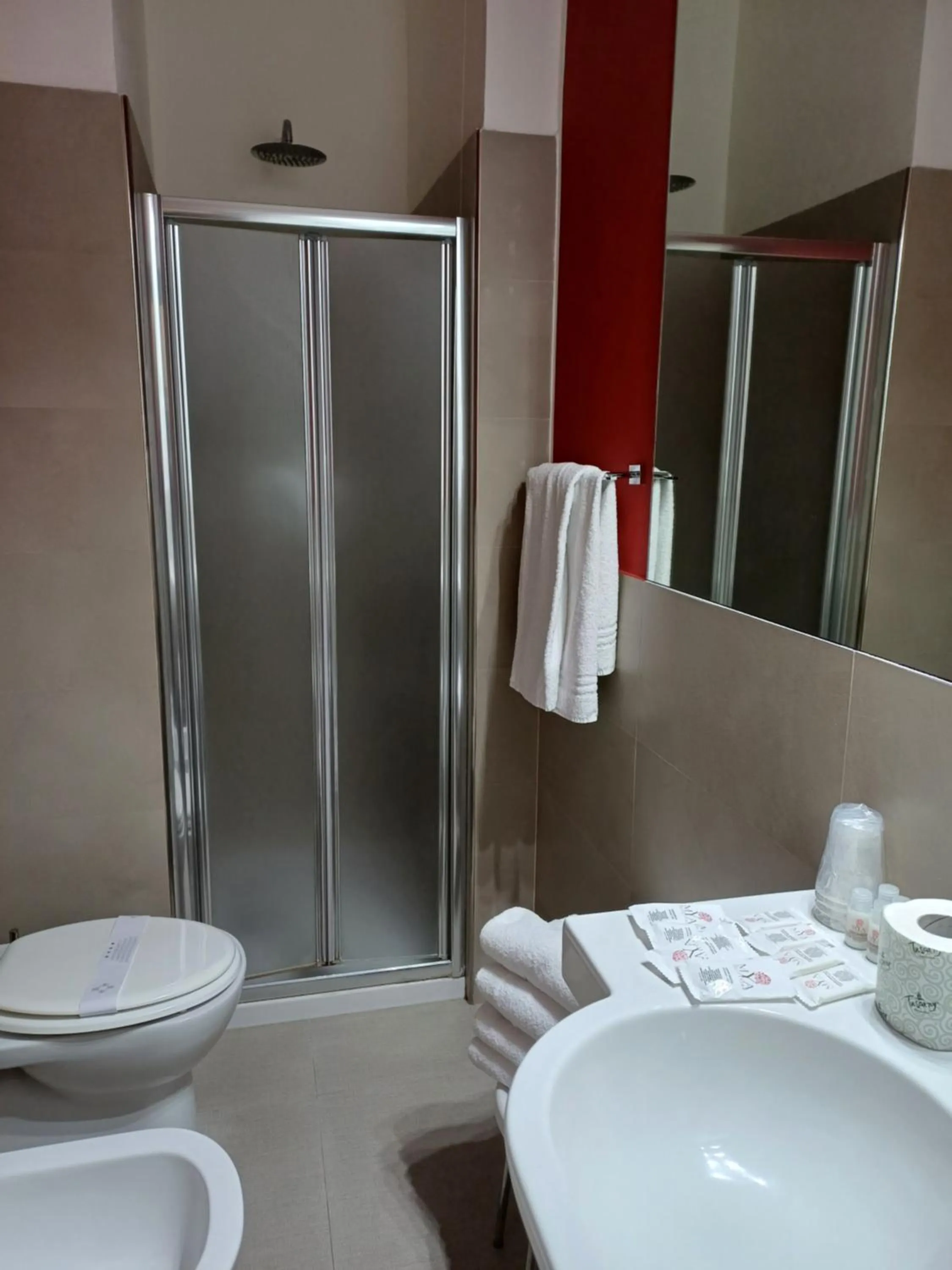 Shower in Hotel Mennini