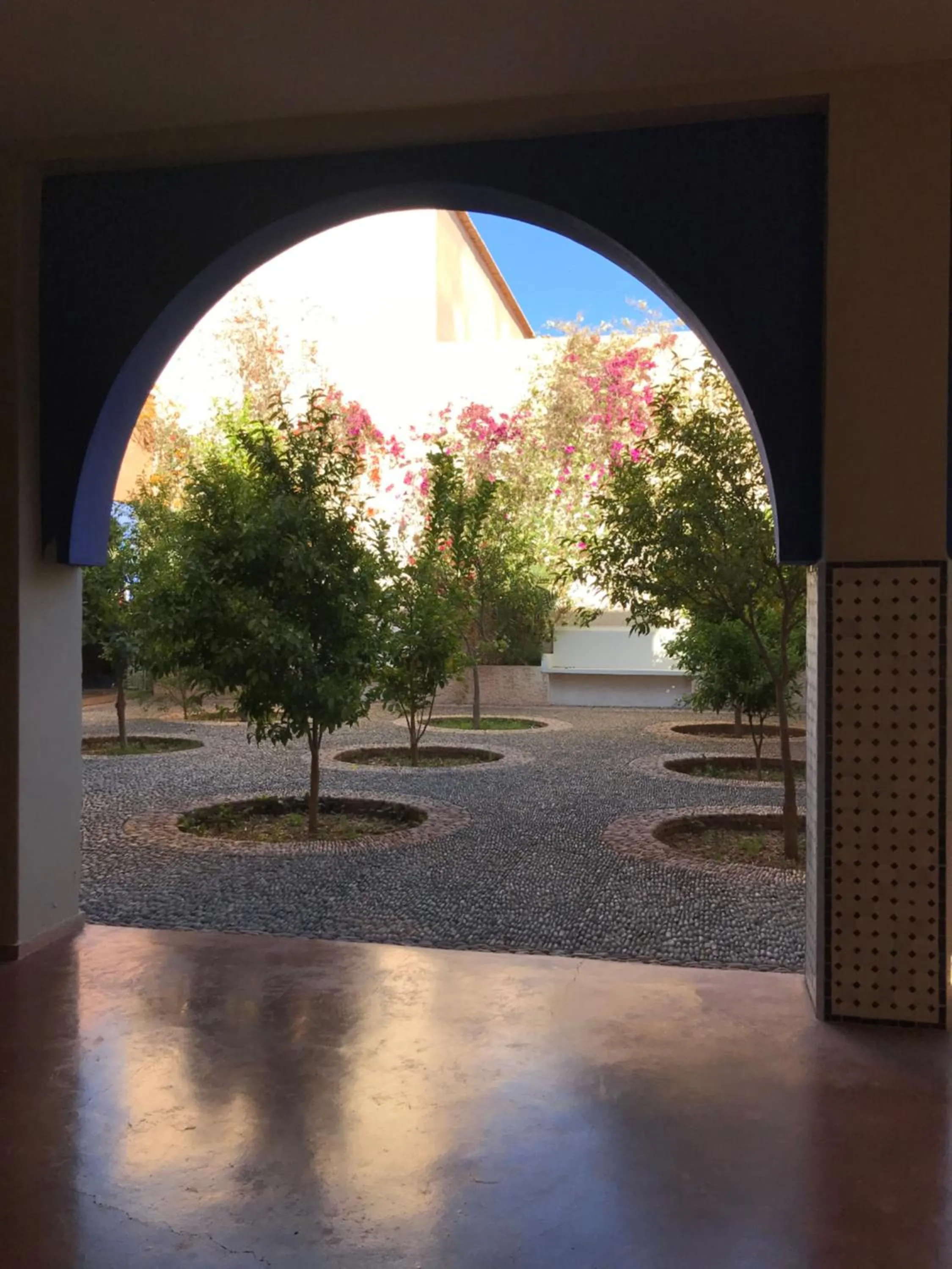 Garden in Côté Sud