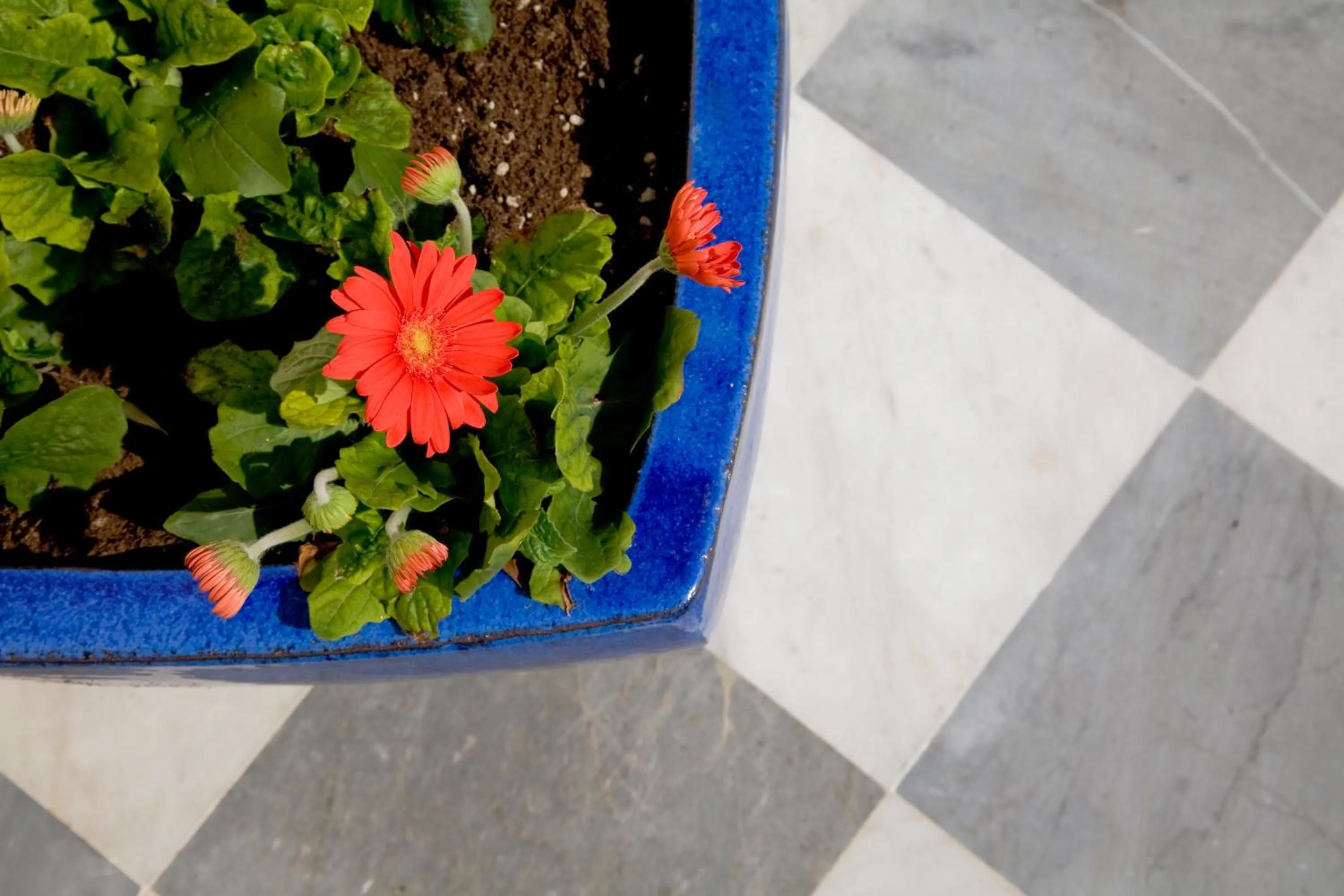 Decorative detail in Le Ville Relais