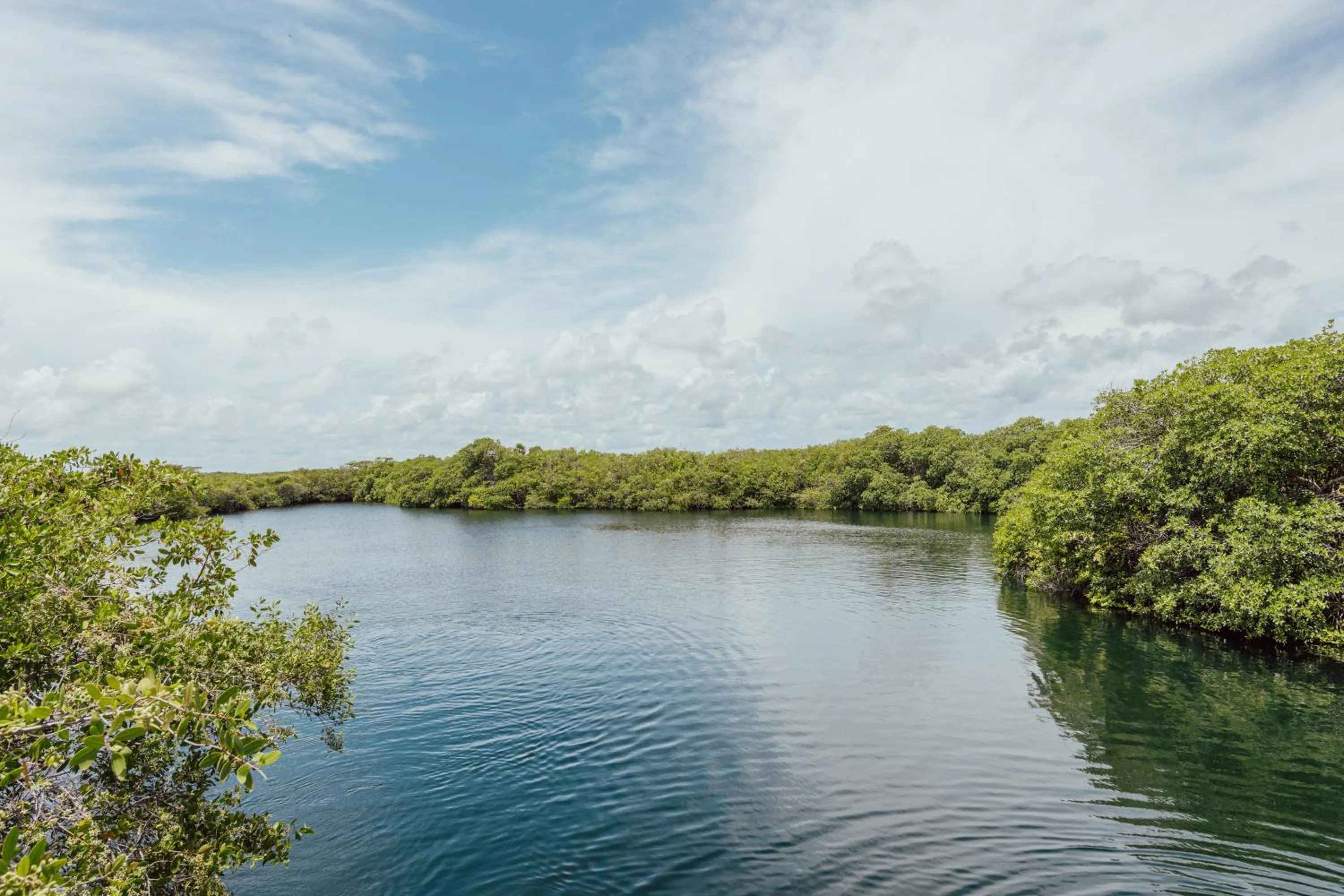 Natural landscape in Yaxchen Tulum Cabañas & Cenote