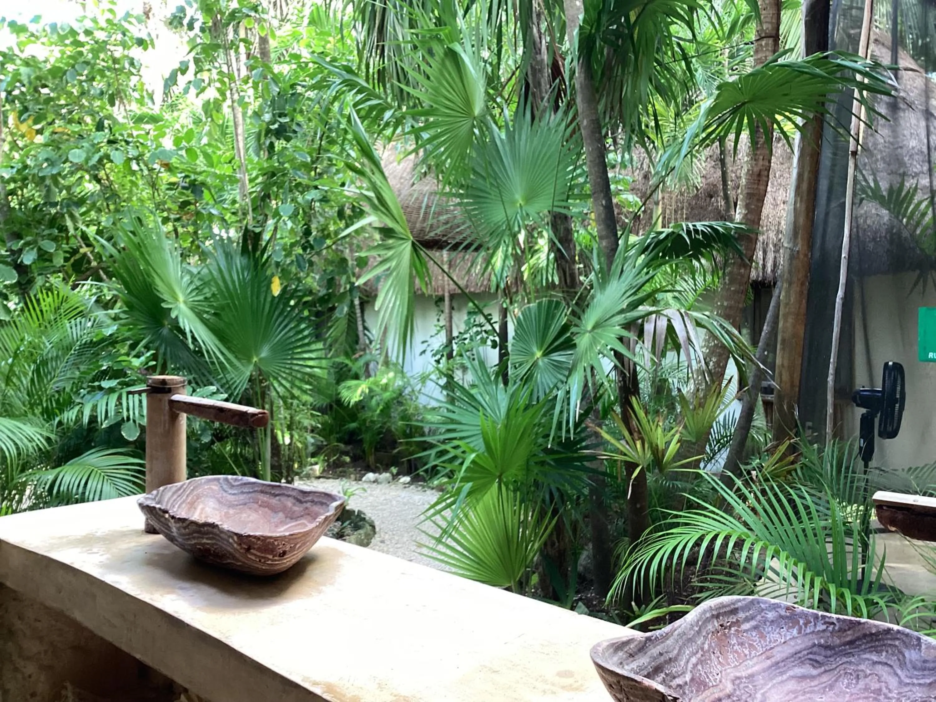 Natural landscape in Yaxchen Tulum Cabañas & Cenote