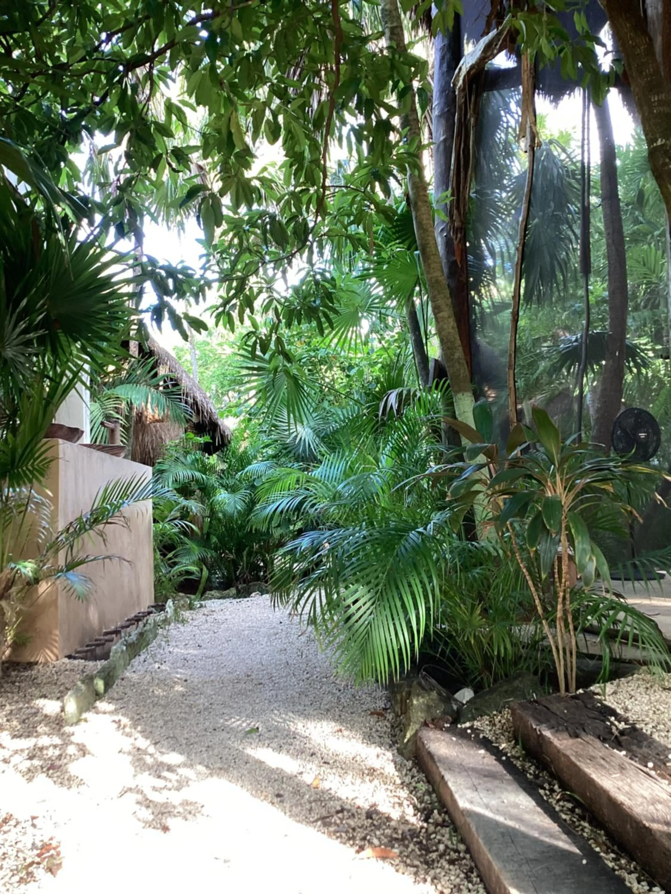 Garden in Yaxchen Tulum Cabañas & Cenote