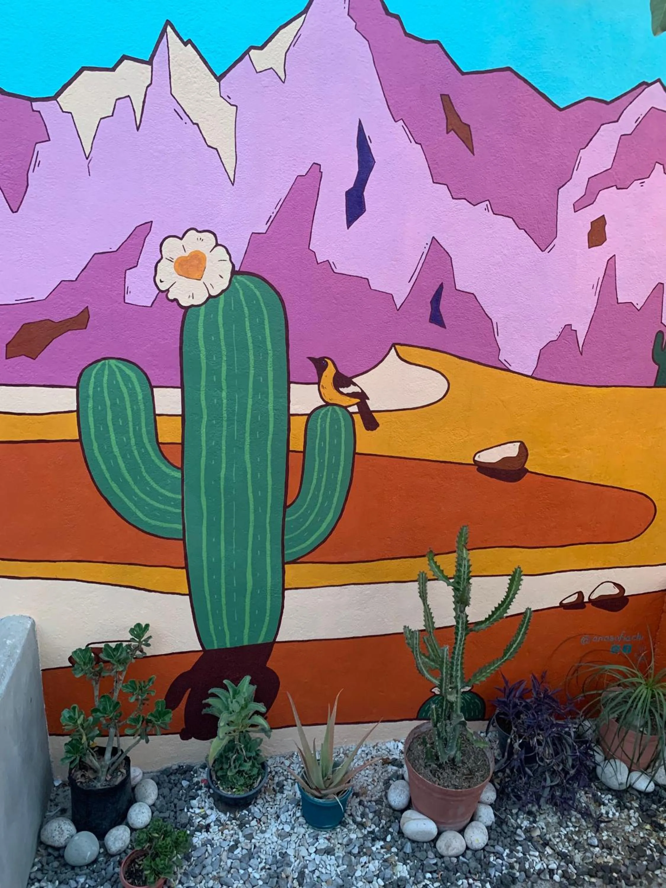 Property building in Desert Heart Hostel