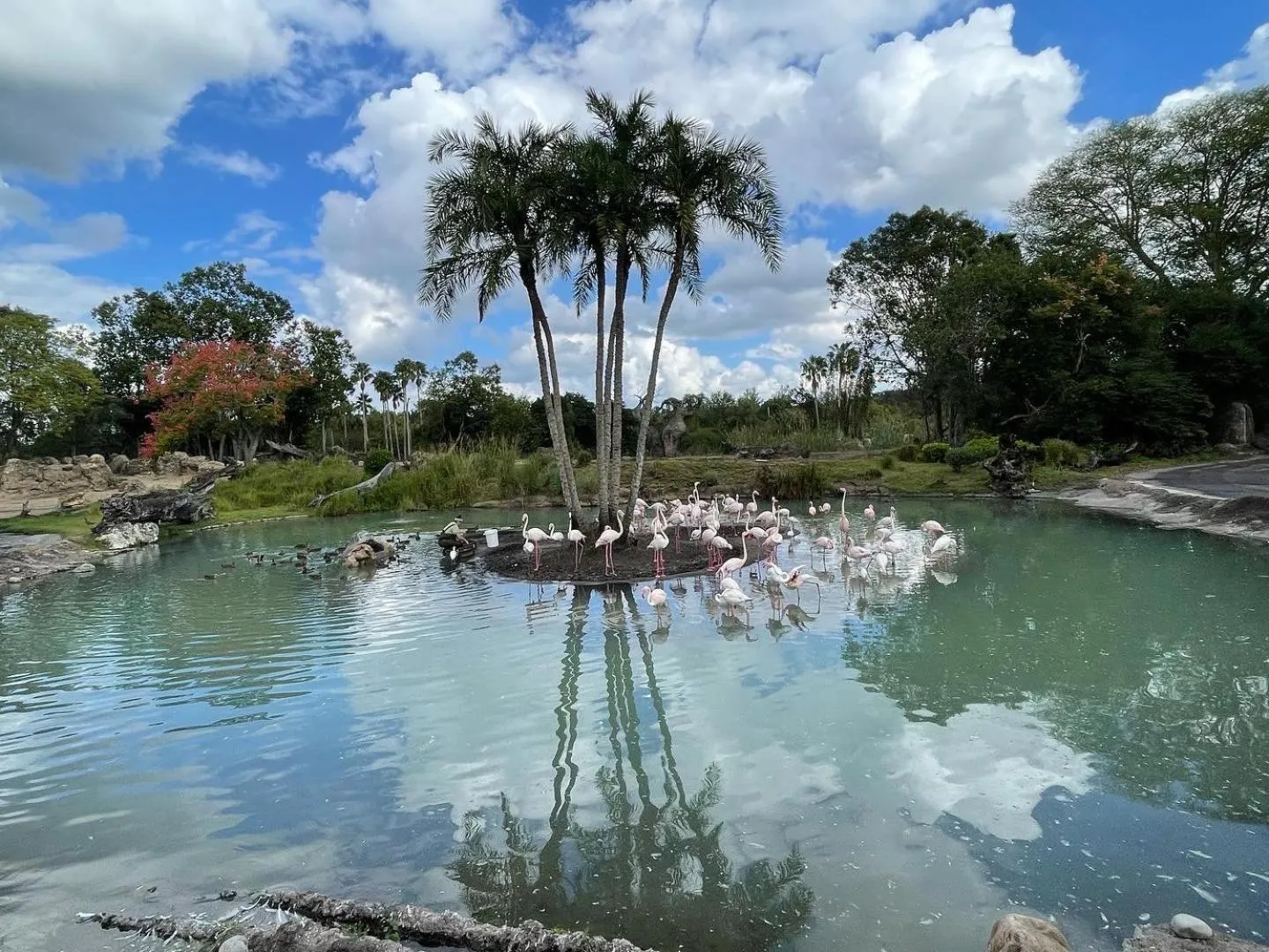 Nearby landmark in 3 Bedroom Villa with Poolside Cinema and Games Room Close to theme Parks sleeps 6 plus 2