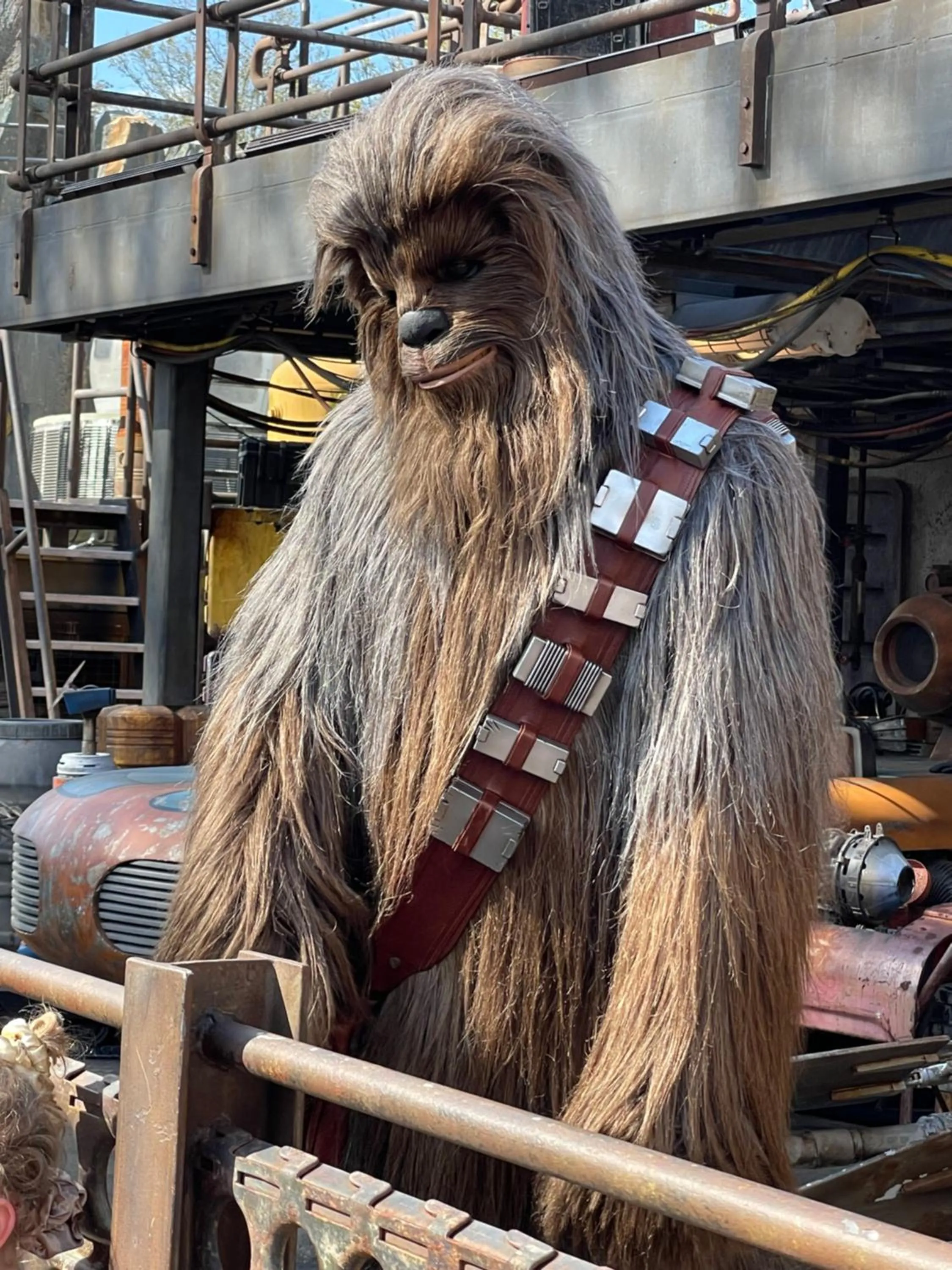 Nearby landmark in 3 Bedroom Villa with Poolside Cinema and Games Room Close to theme Parks sleeps 6 plus 2