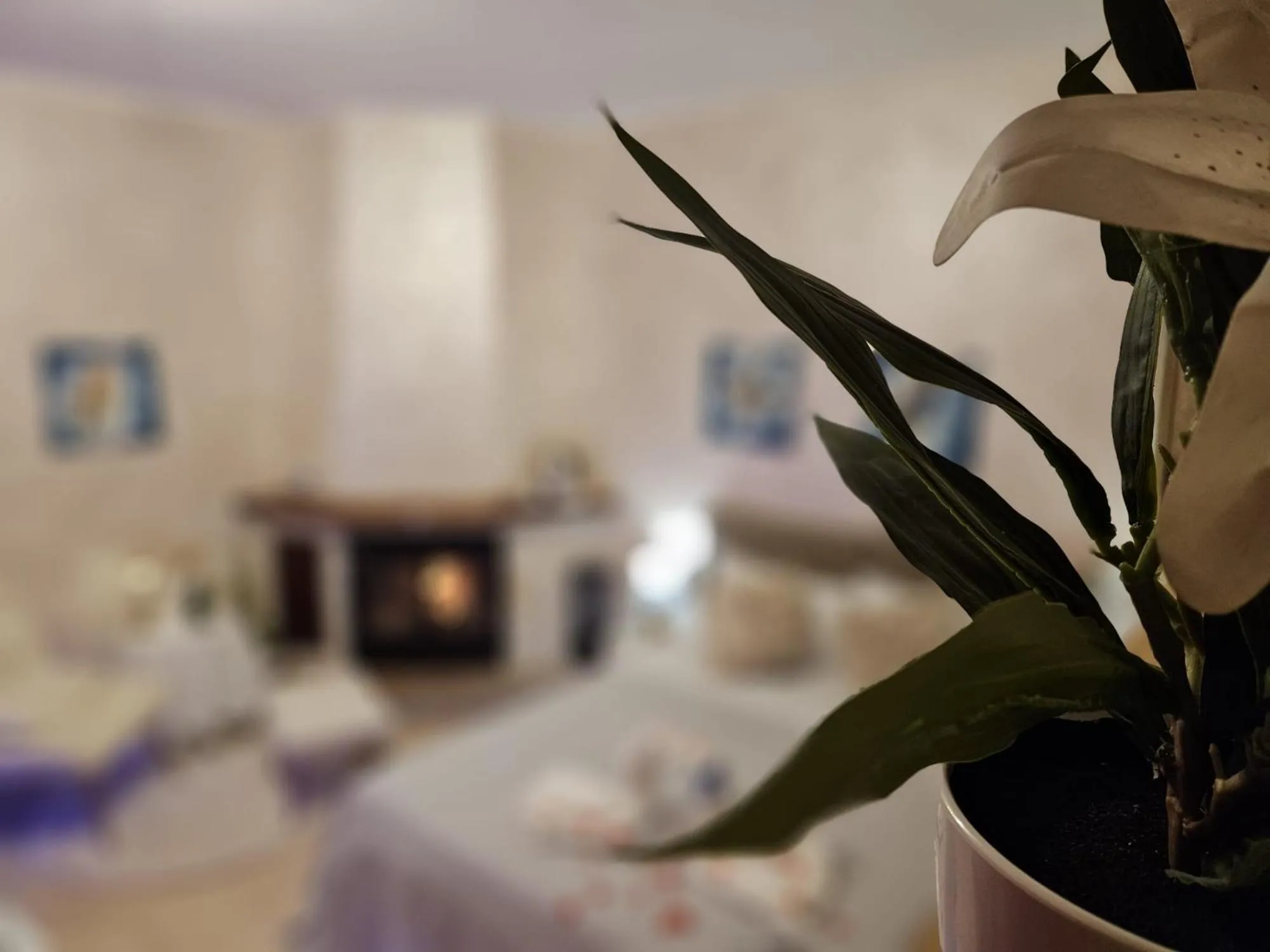 Photo of the whole room, Bed in B&B Villa Maracujà