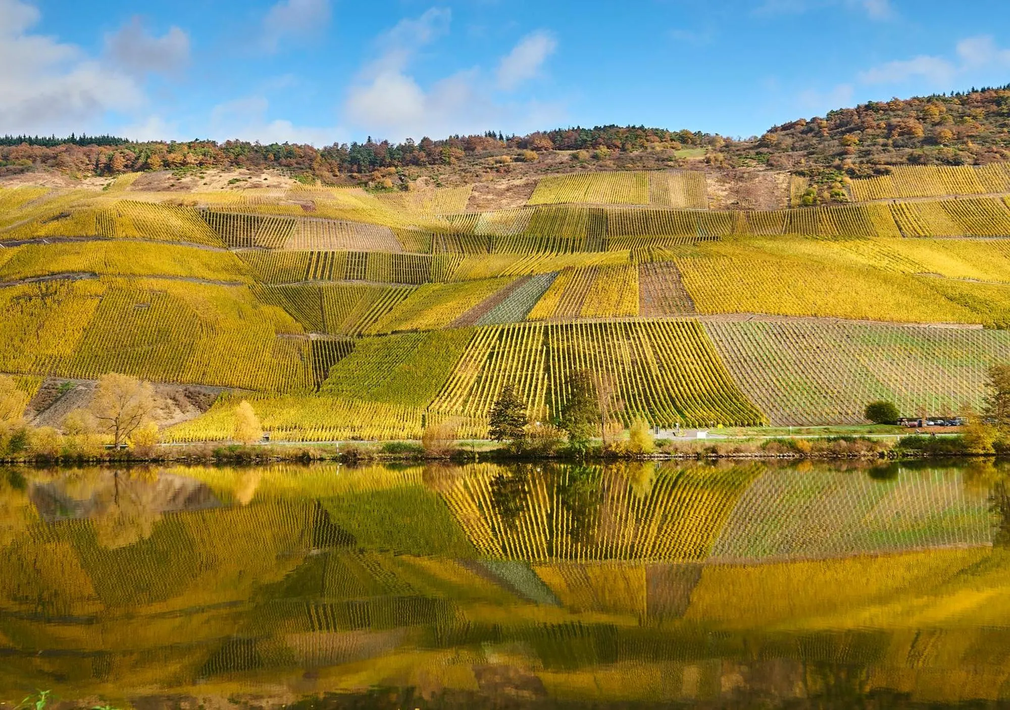 Natural landscape in DEINHARD's