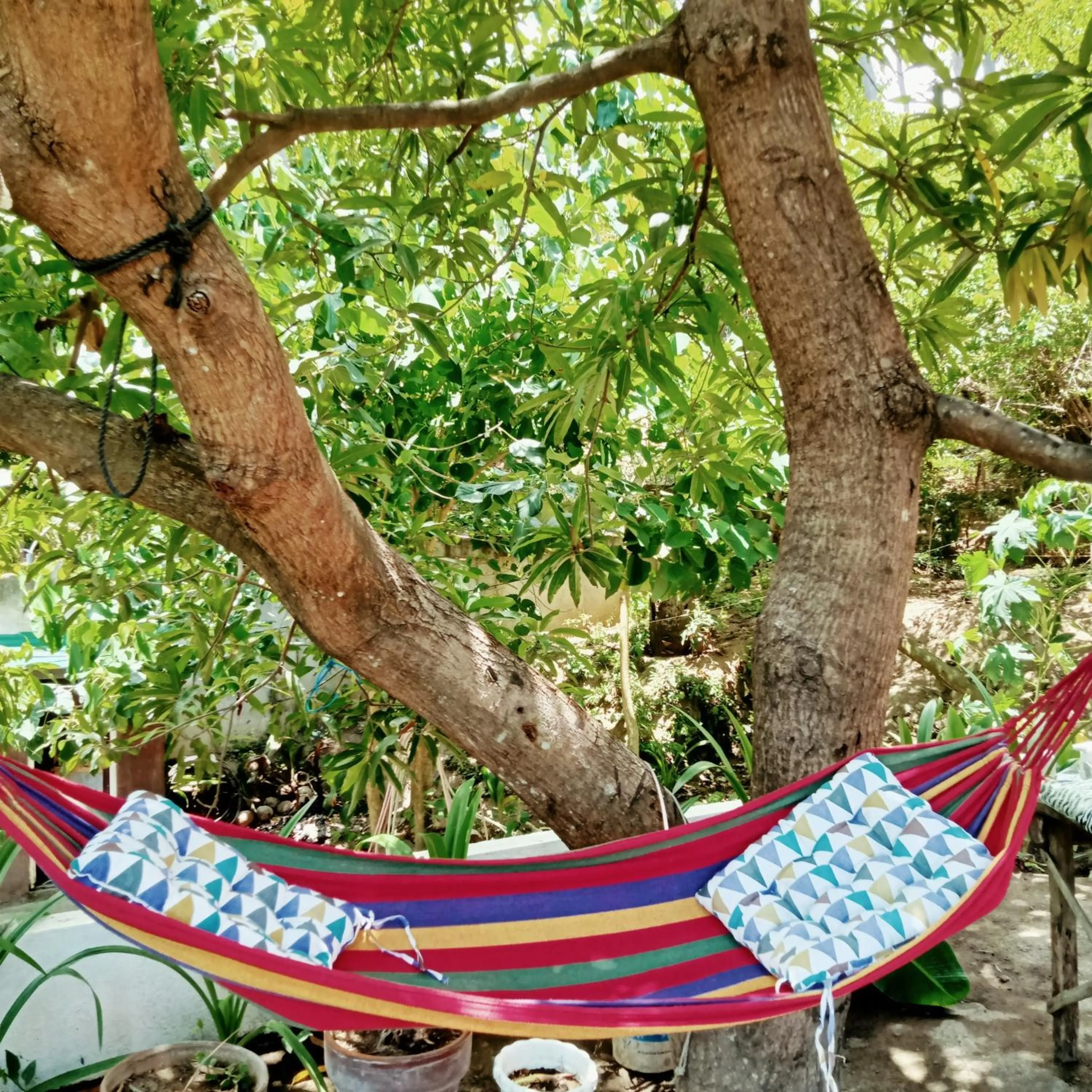 Garden view in Baywalk Suites Batangas