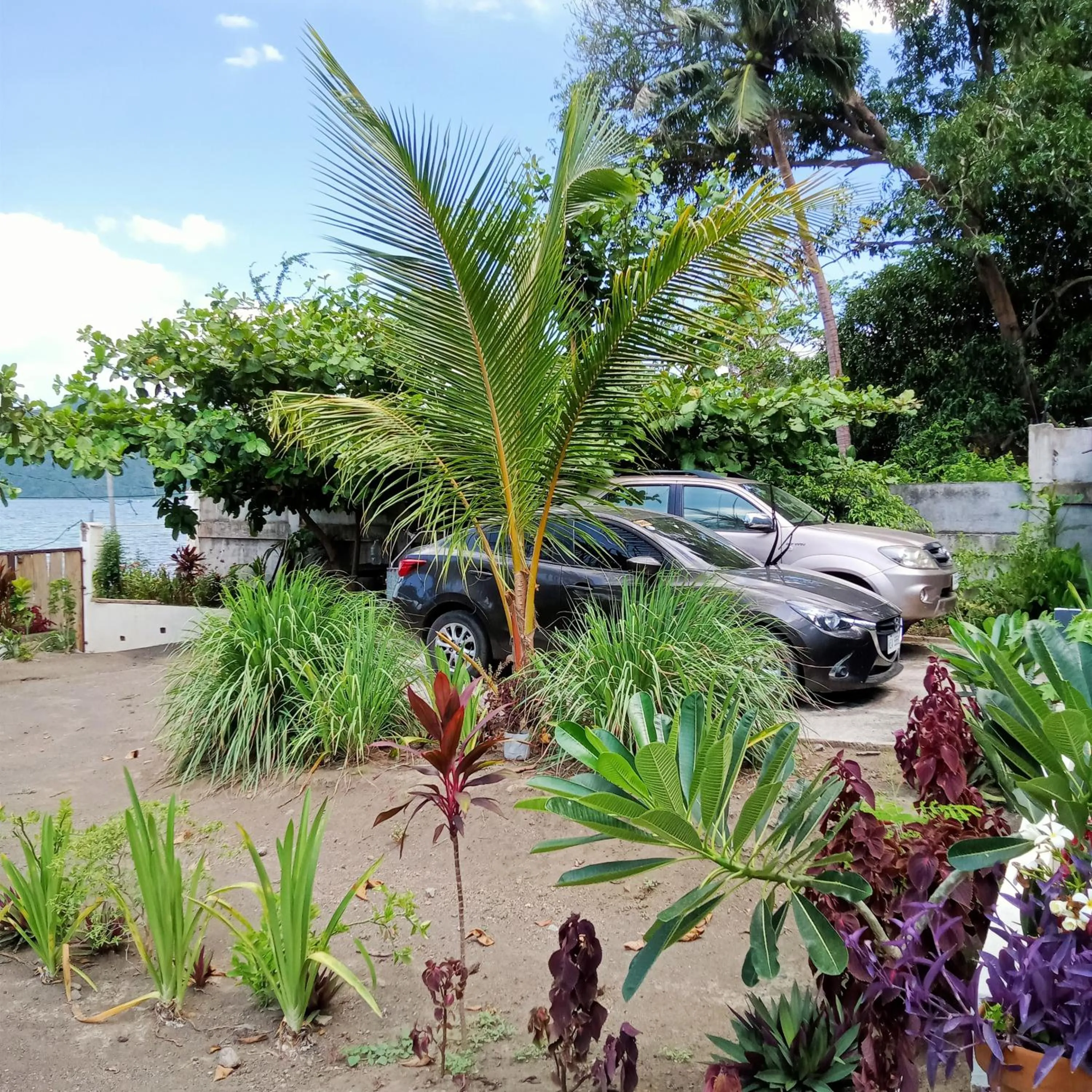 Garden in Baywalk Suites Batangas