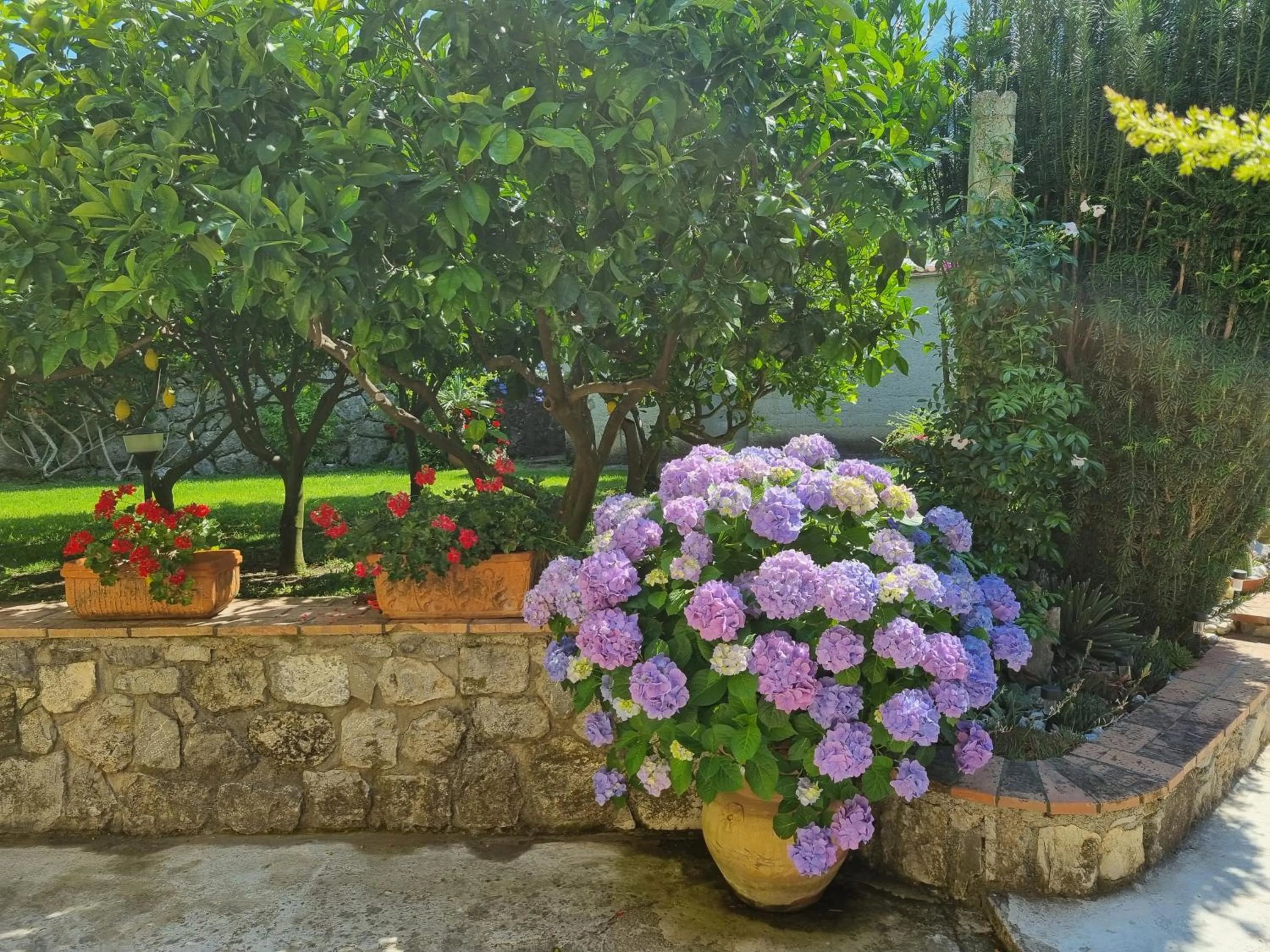 Garden in Il Ruscello