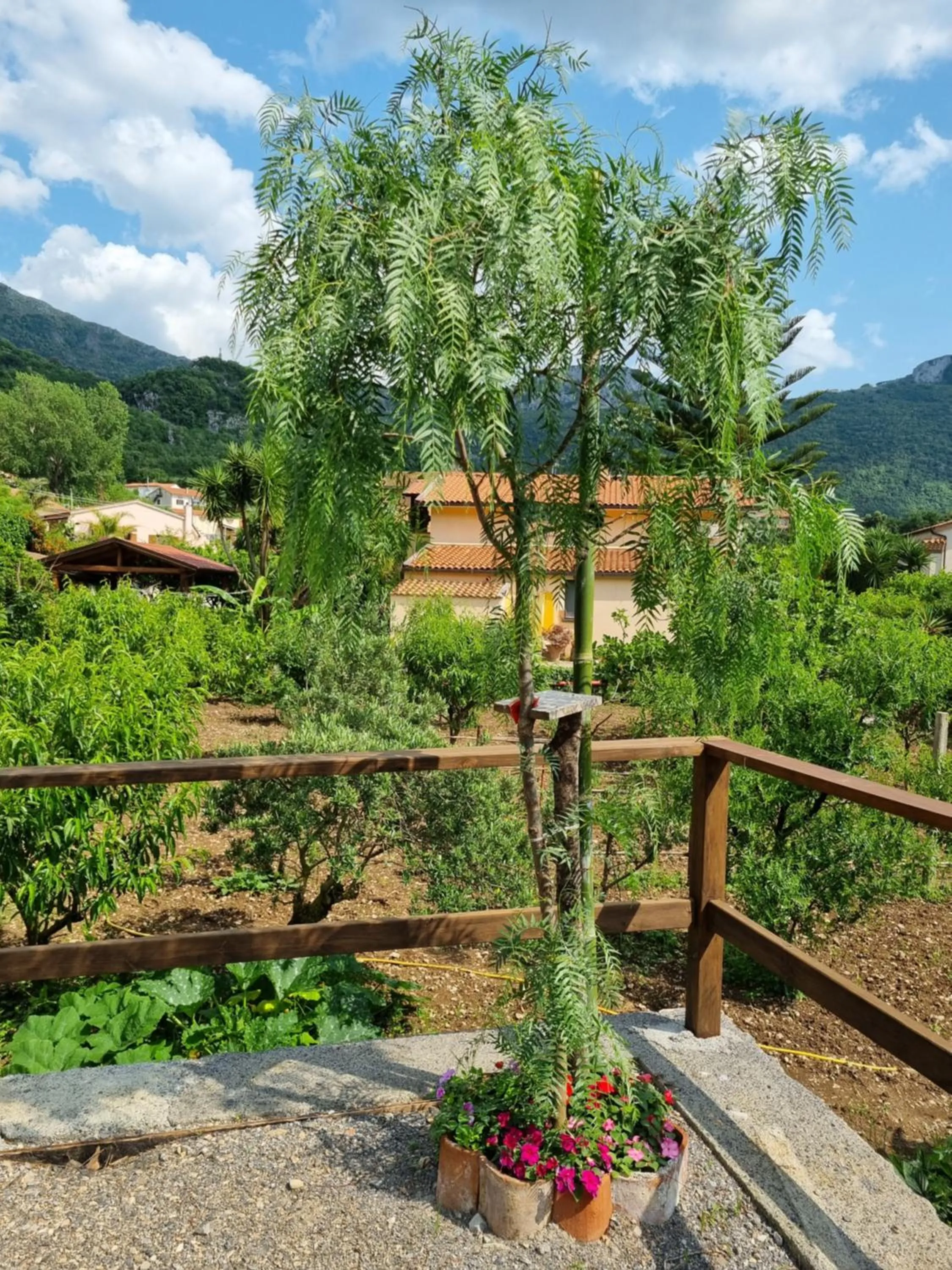 Natural landscape in Il Ruscello